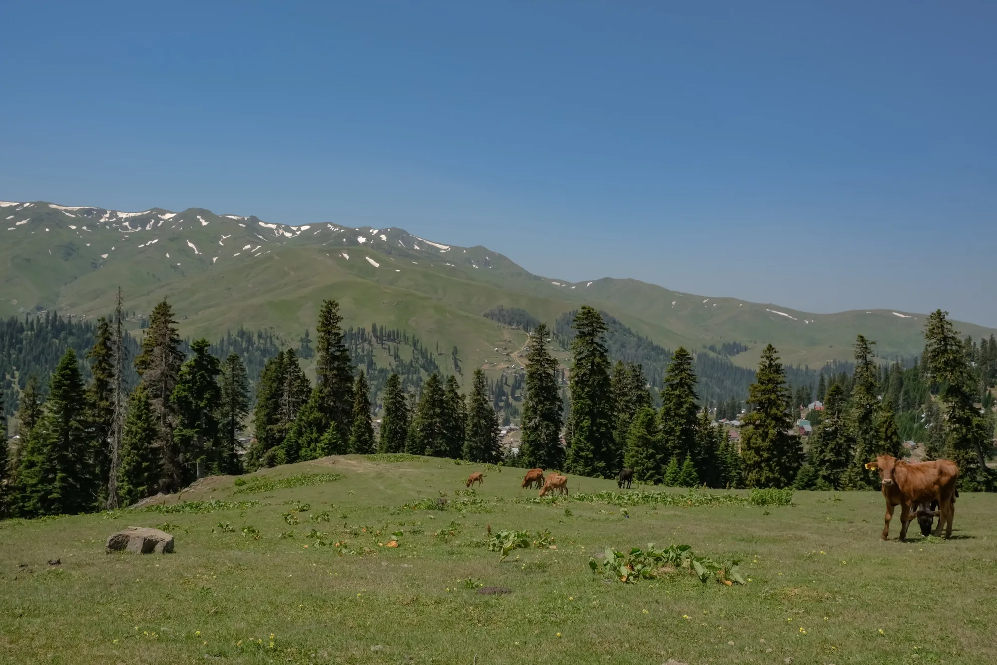 Aerial photograph — Georgia — Earthly