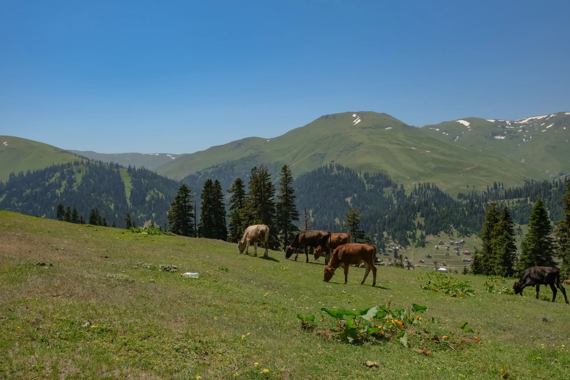 Aerial photograph — Georgia — Earthly