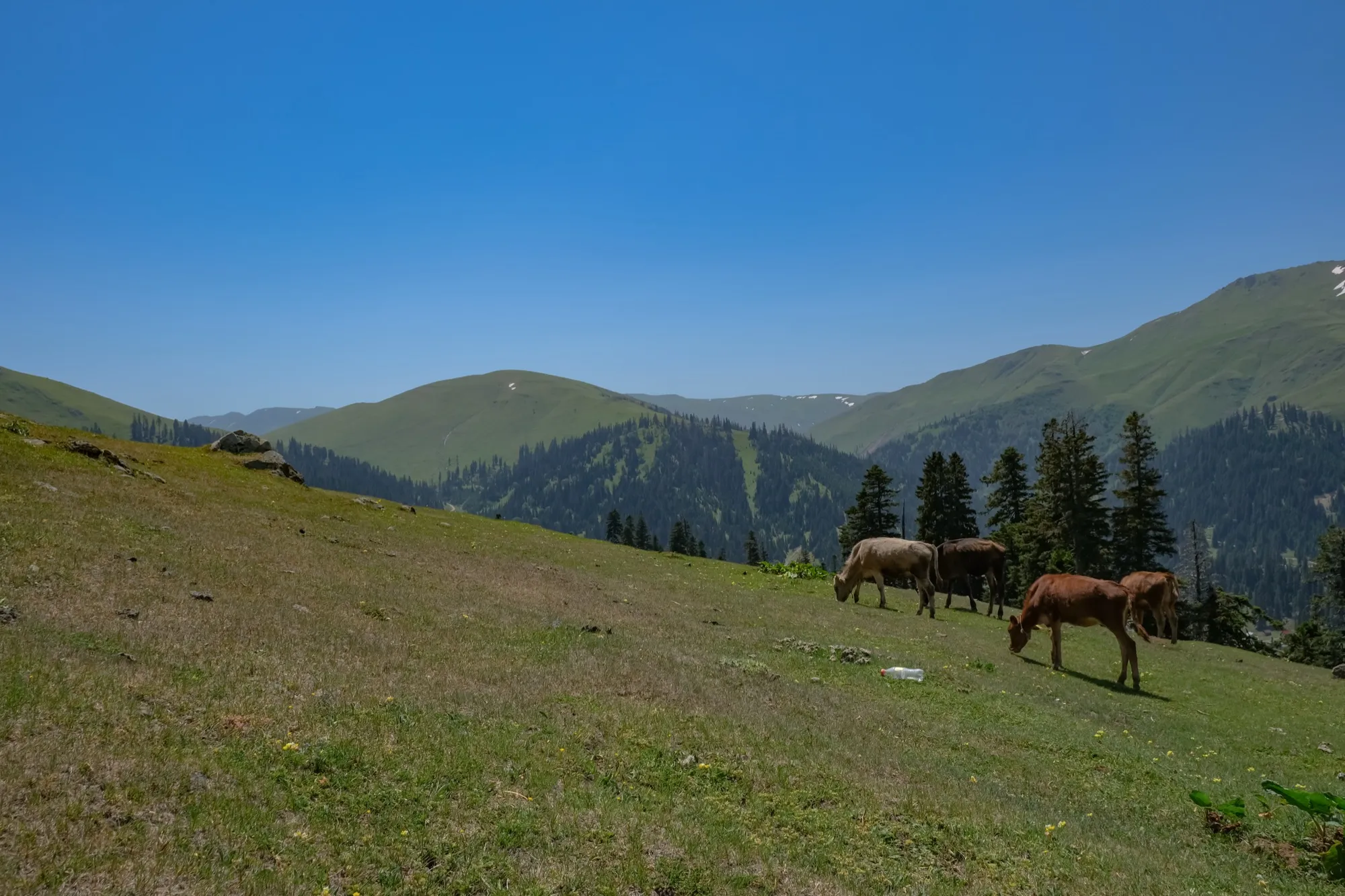 Aerial photograph — Georgia — Earthly
