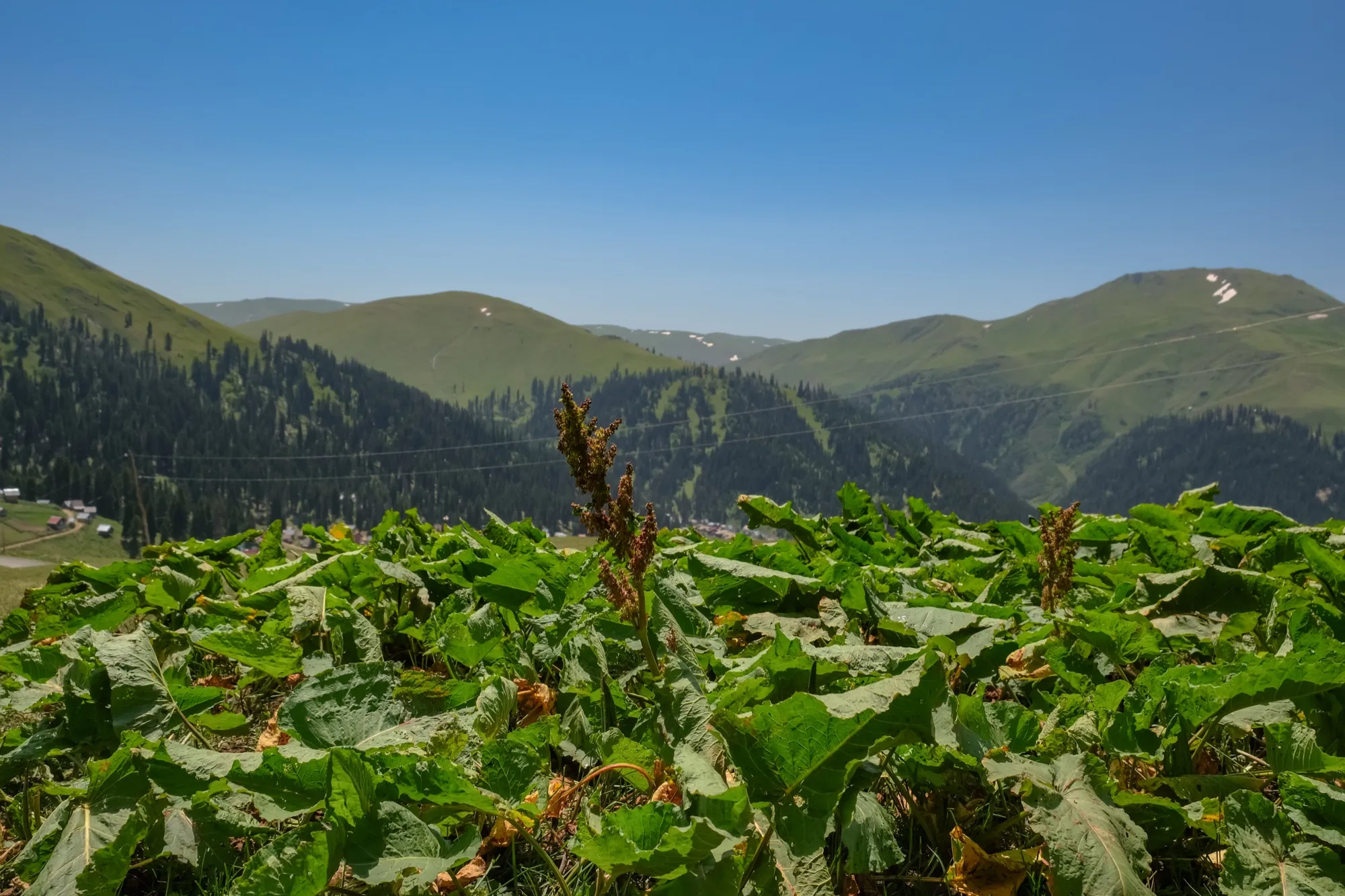 Aerial photograph — Georgia — Earthly