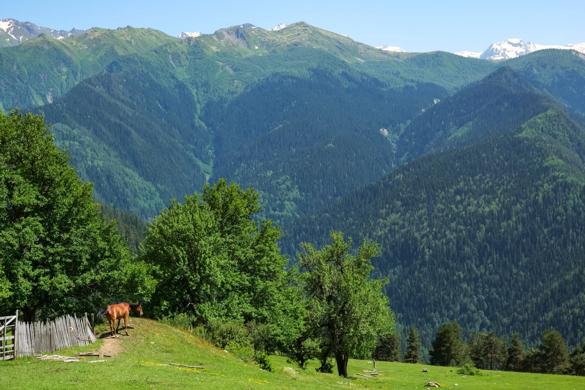 Aerial photograph — Georgia — Earthly