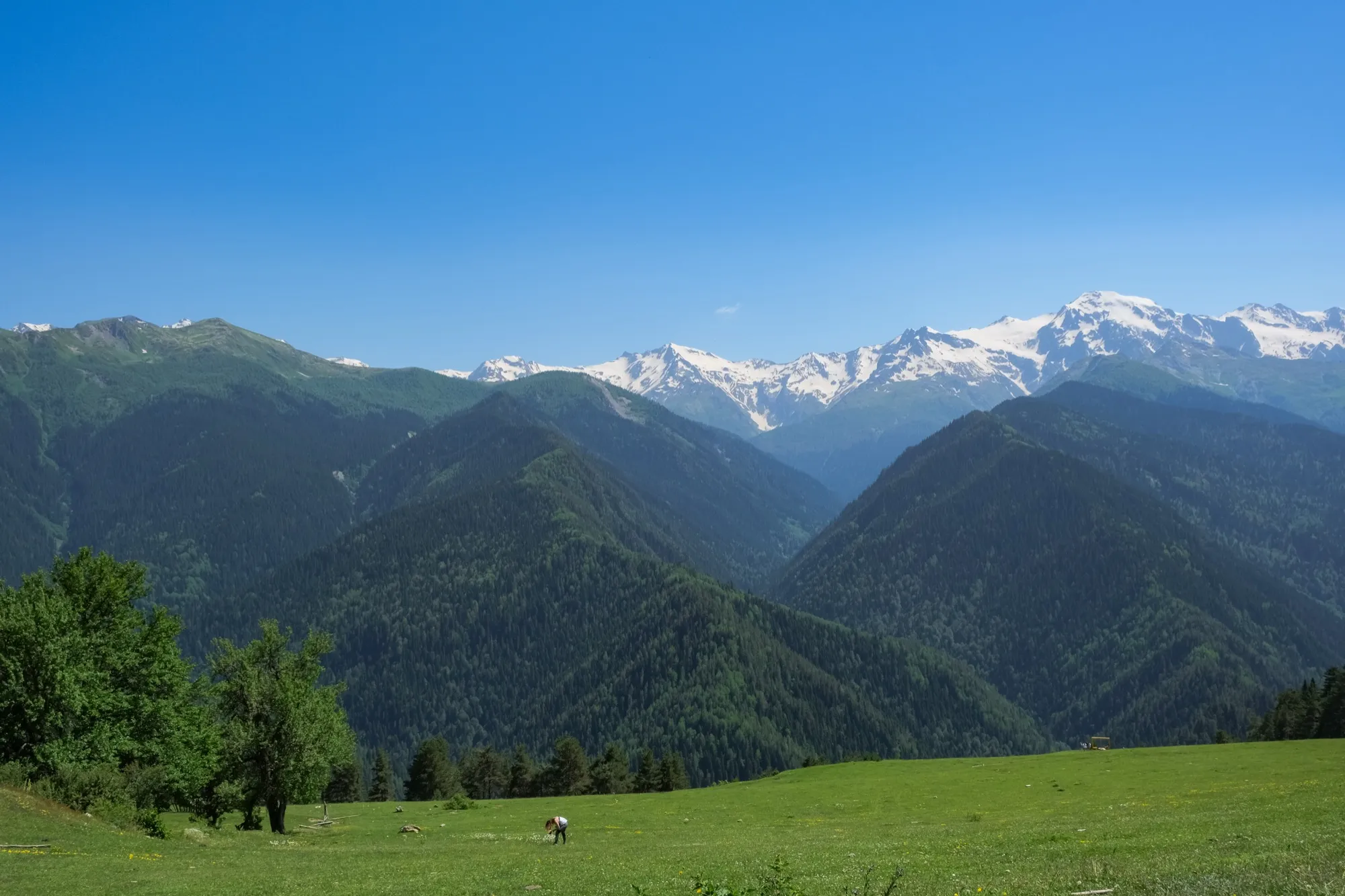 Aerial photograph — Georgia — Earthly