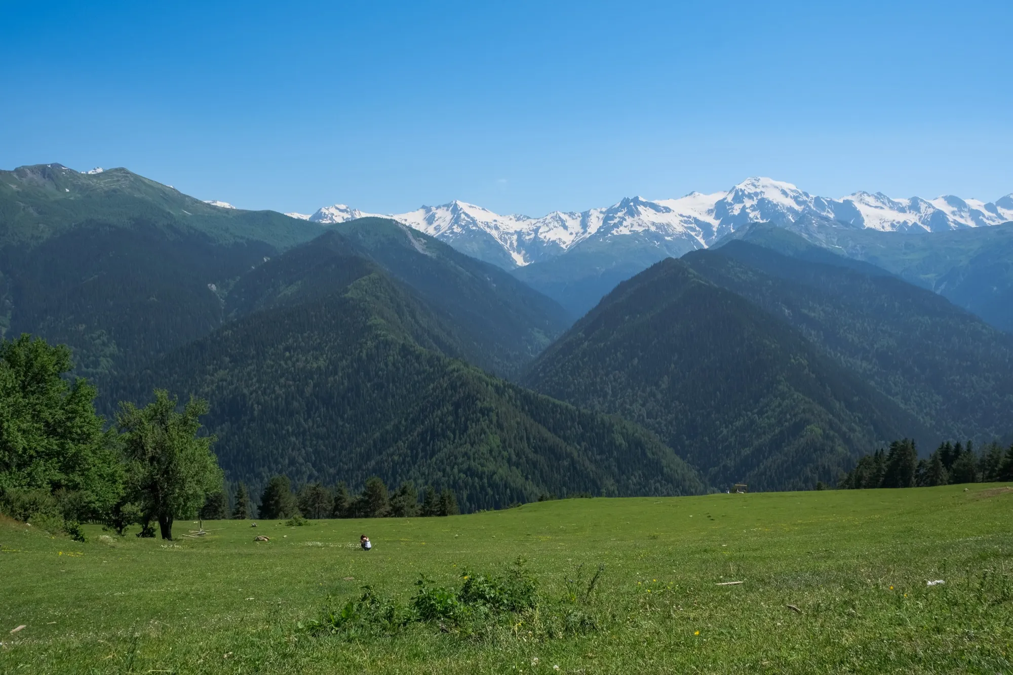 Aerial photograph — Georgia — Earthly