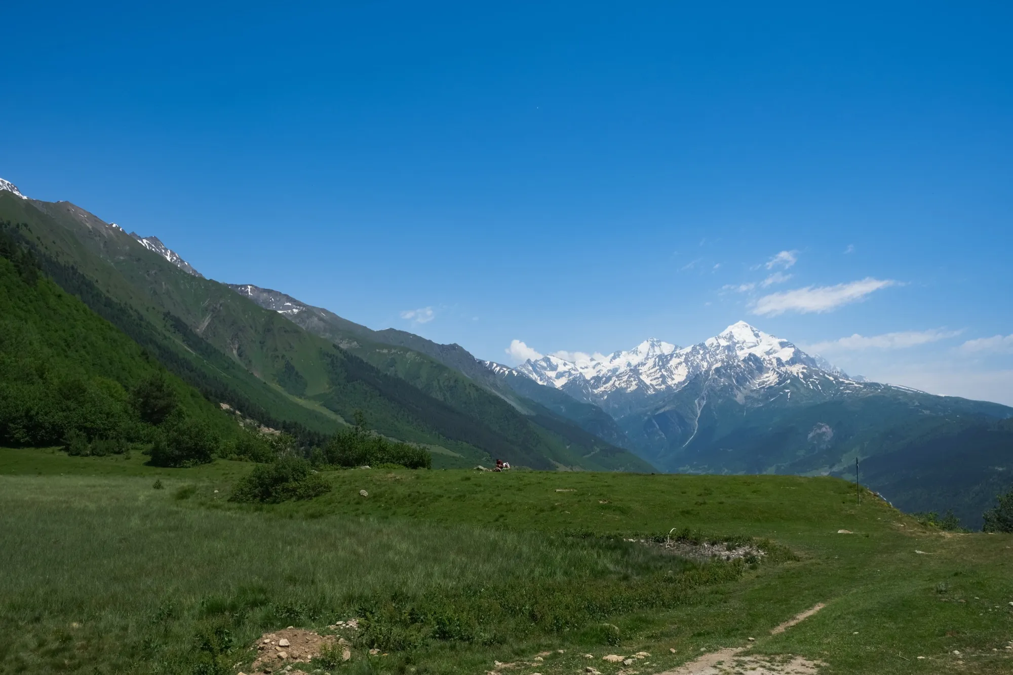 Aerial photograph — Georgia — Earthly