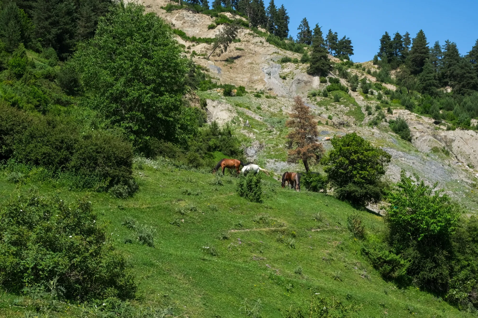 Aerial photograph — Georgia — Earthly