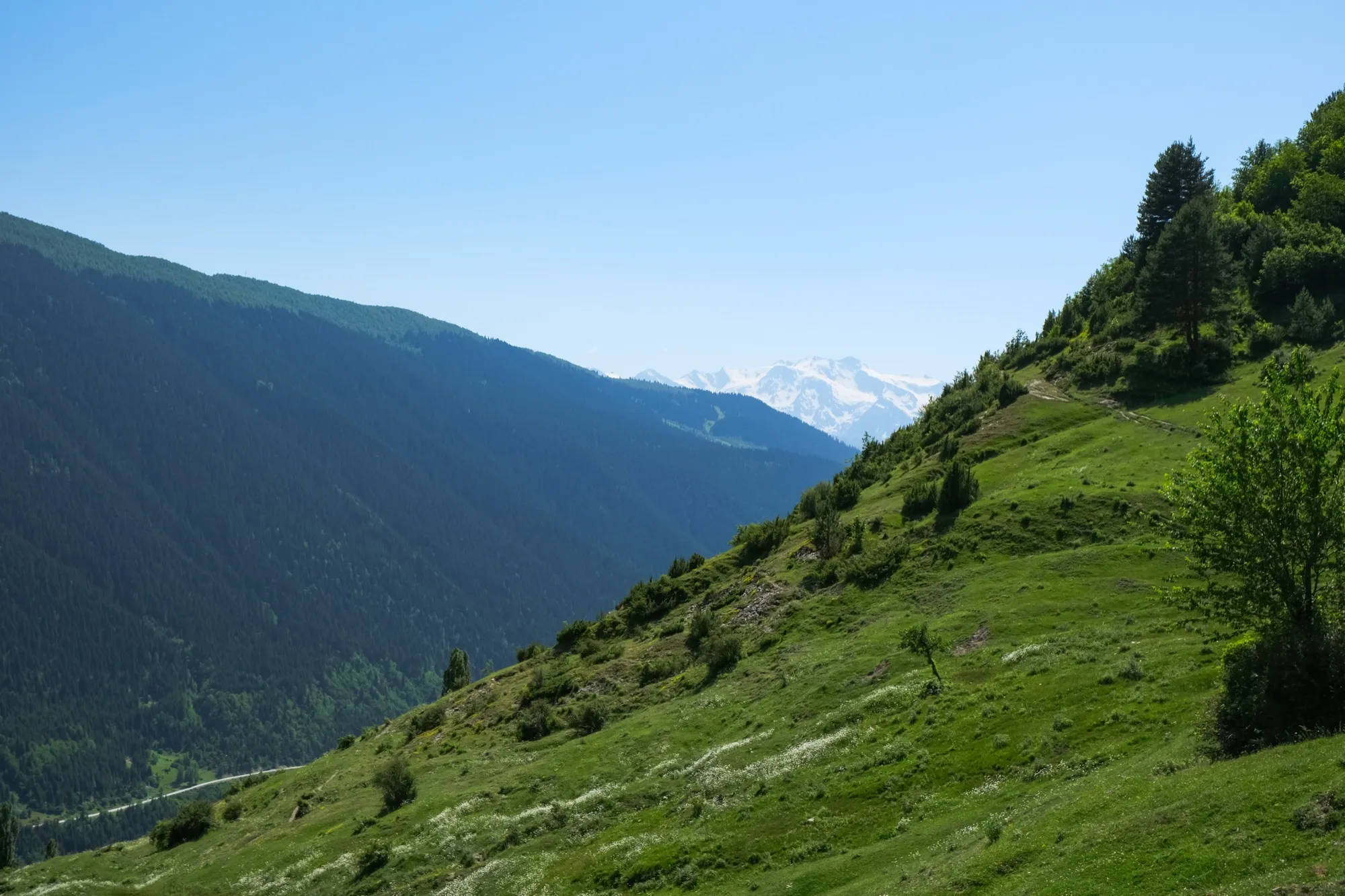 Aerial photograph — Georgia — Earthly