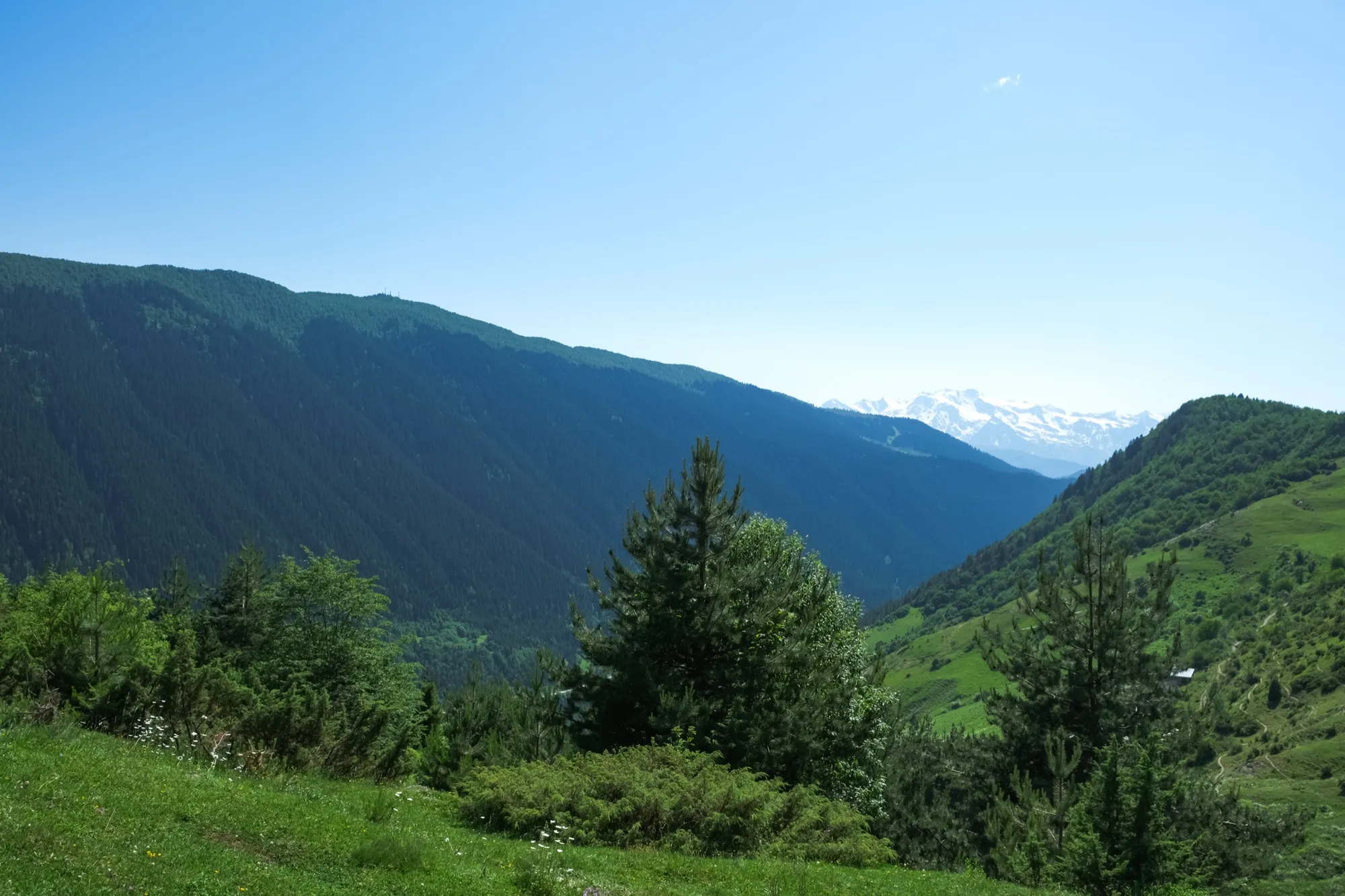 Aerial photograph — Georgia — Earthly
