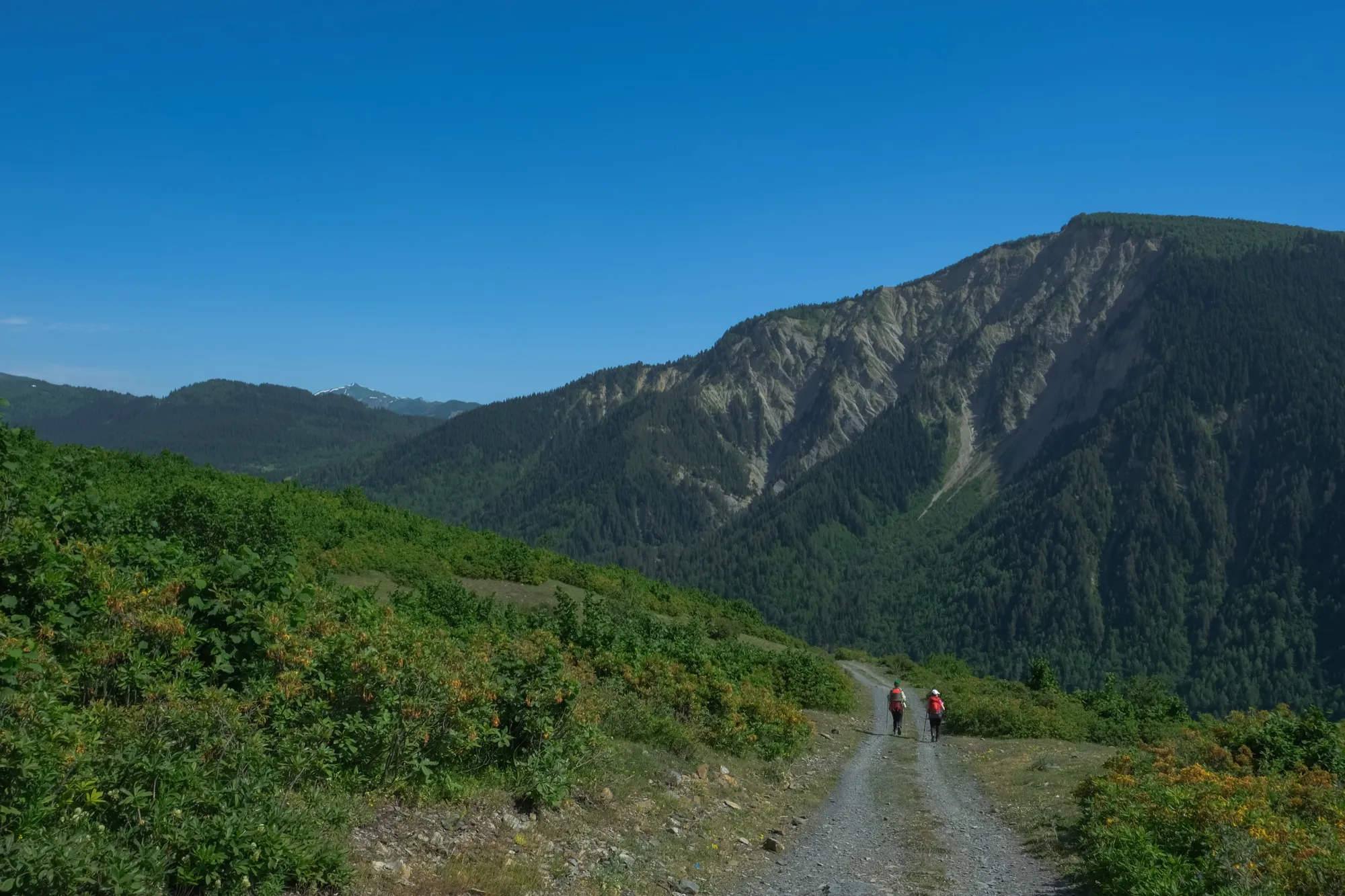 Aerial photograph — Georgia — Earthly