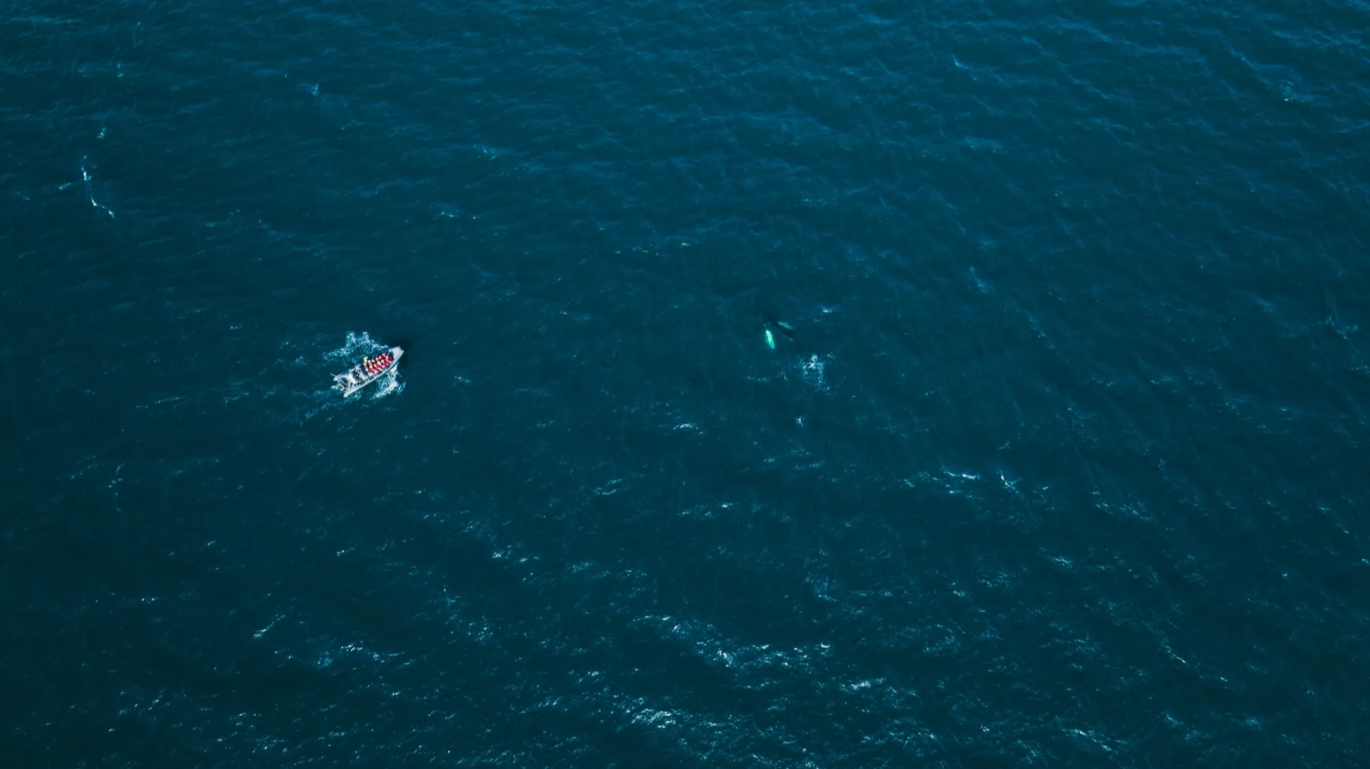 Aerial photograph — Iceland — Earthly