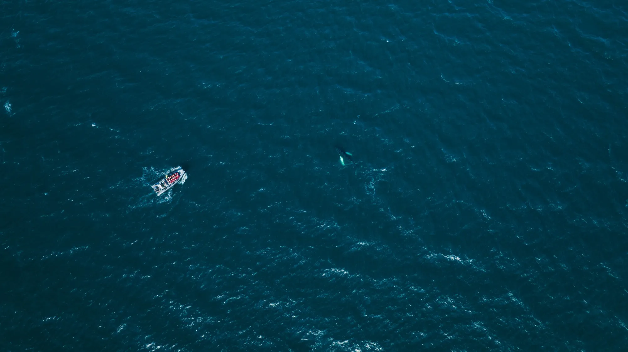 Aerial photograph — Iceland — Earthly