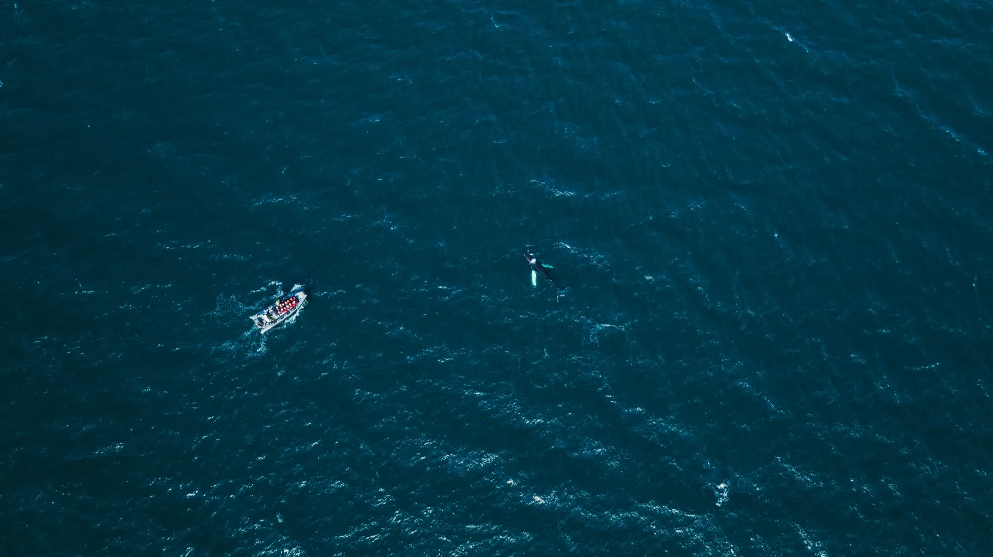 Aerial photograph — Iceland — Earthly