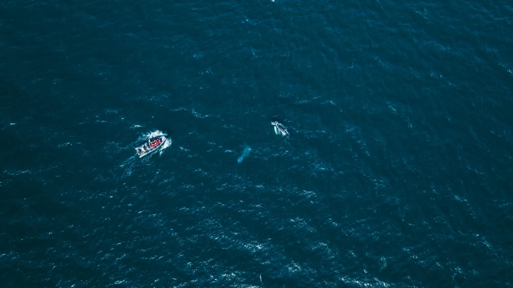 Aerial photograph — Iceland — Earthly