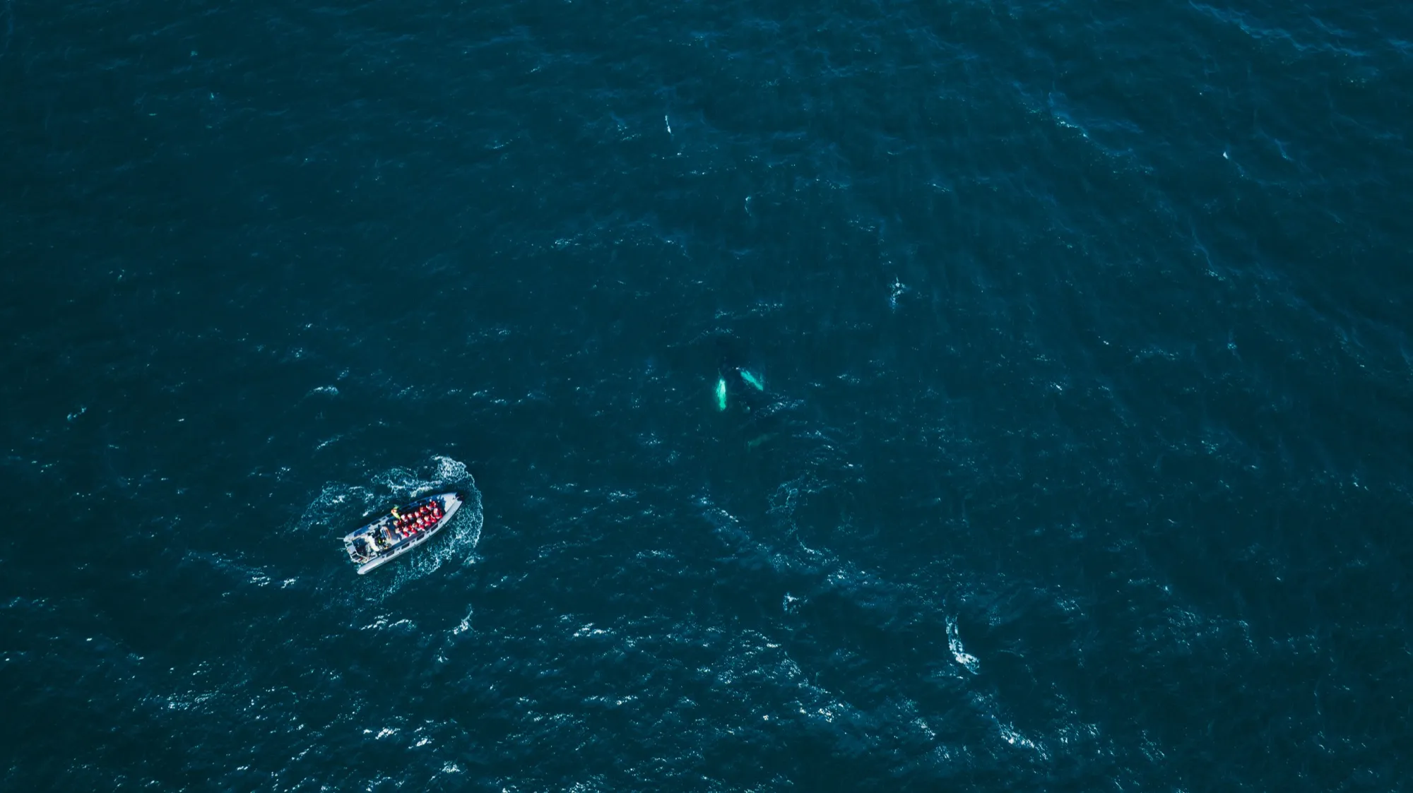 Aerial photograph — Iceland — Earthly