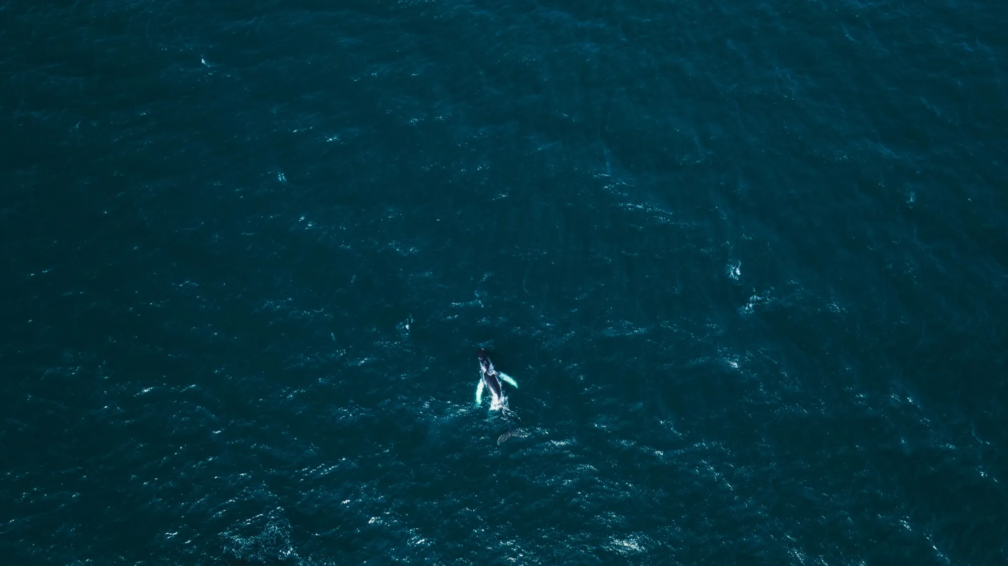 Aerial photograph — Iceland — Earthly
