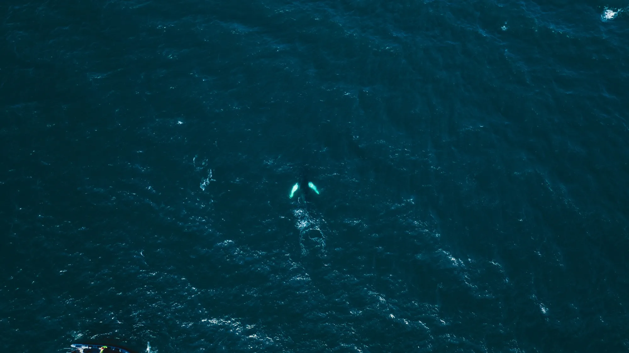 Aerial photograph — Iceland — Earthly