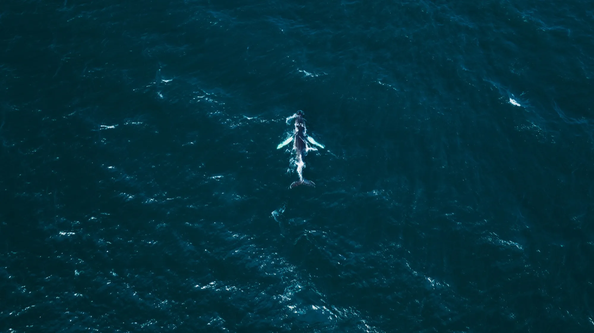 Aerial photograph — Iceland — Earthly