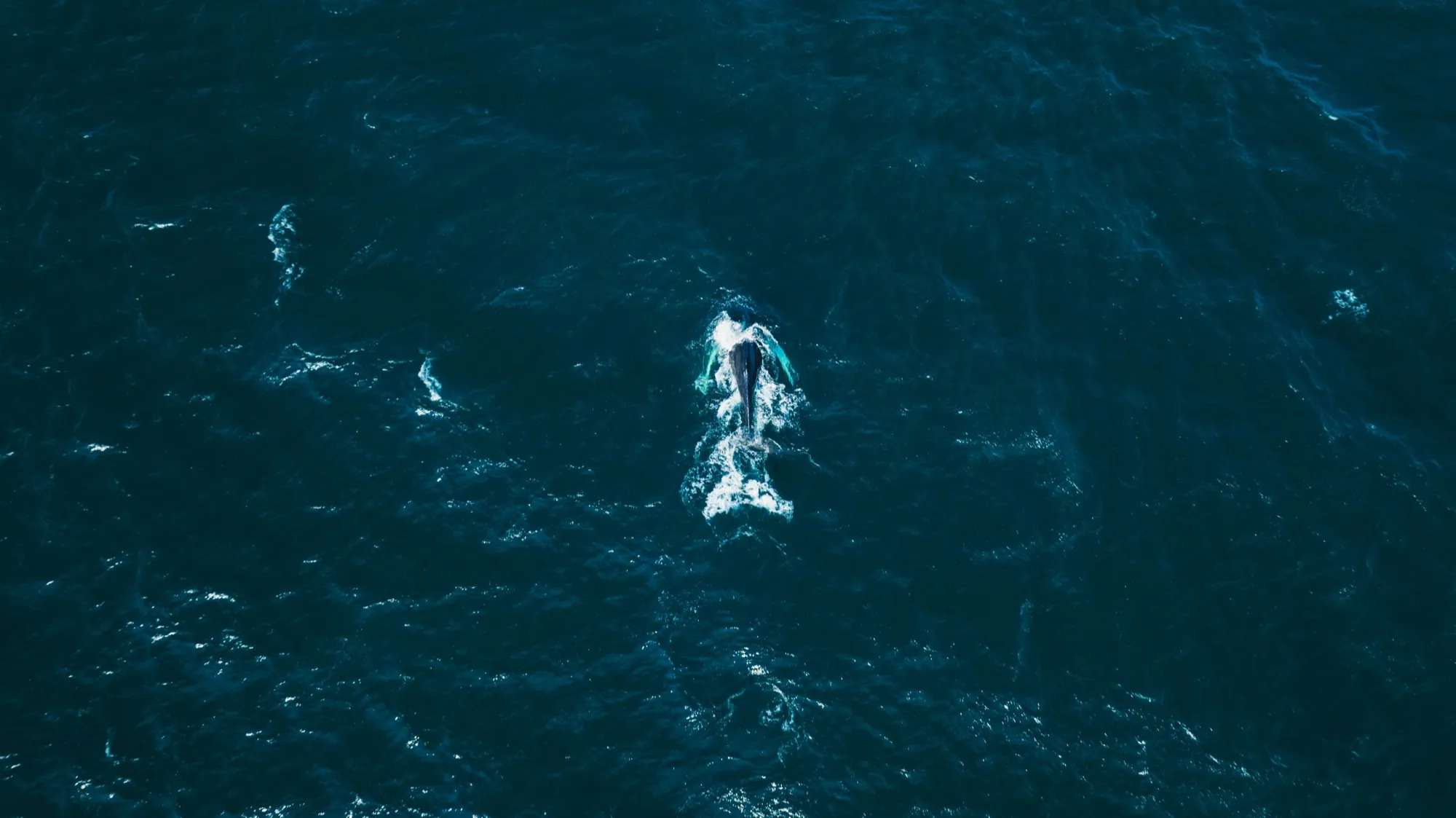 Aerial photograph — Iceland — Earthly