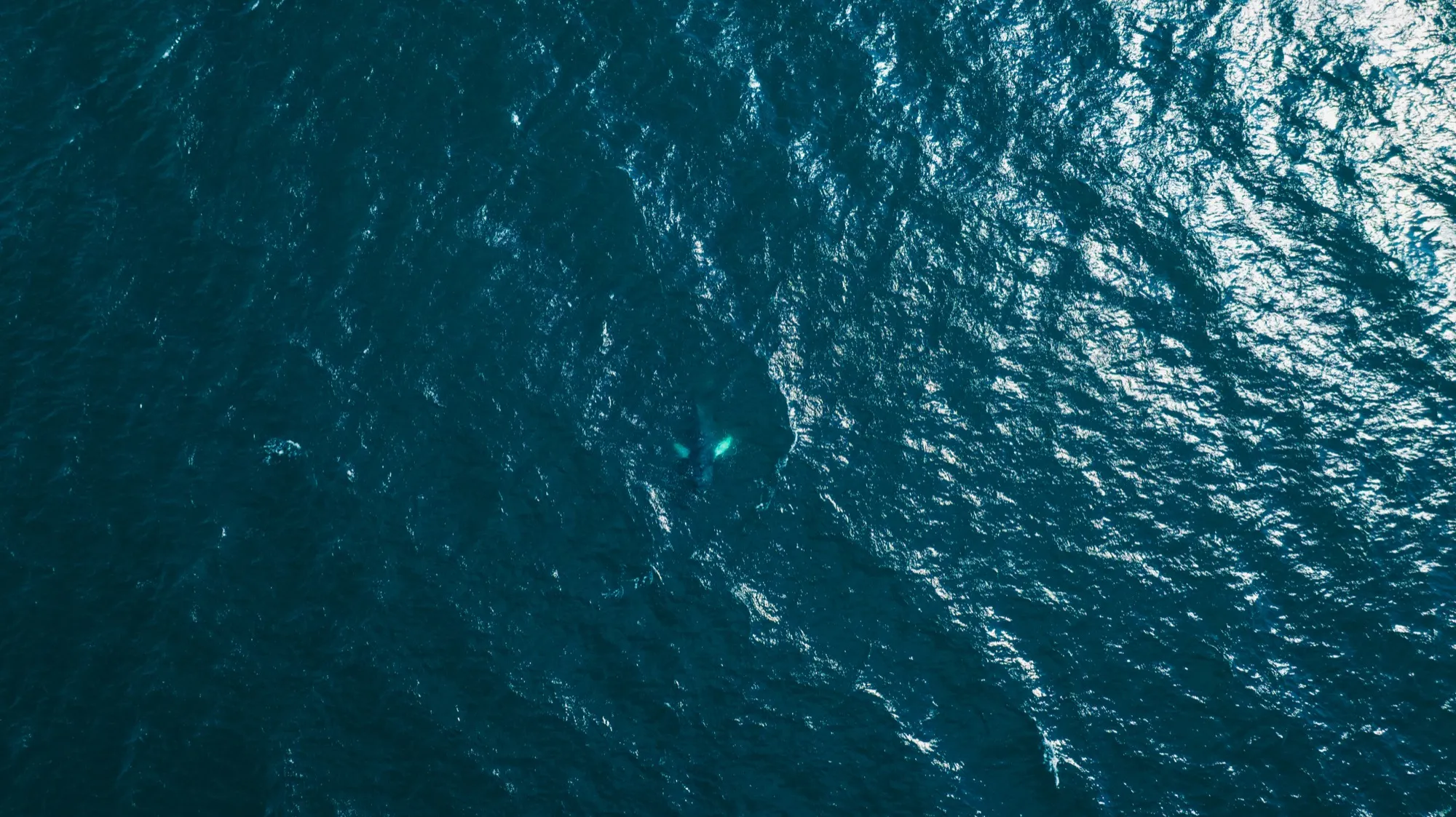 Aerial photograph — Iceland — Earthly