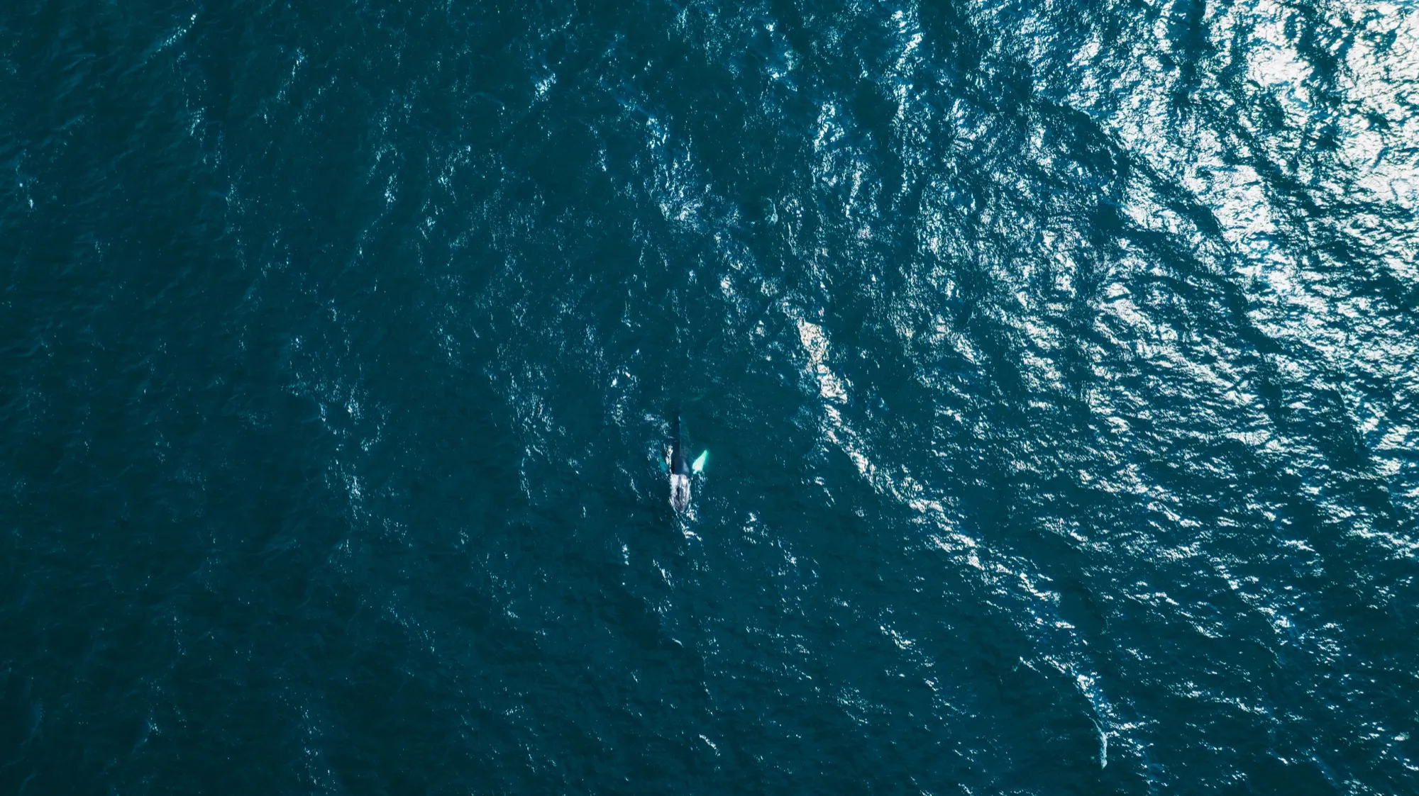 Aerial photograph — Iceland — Earthly