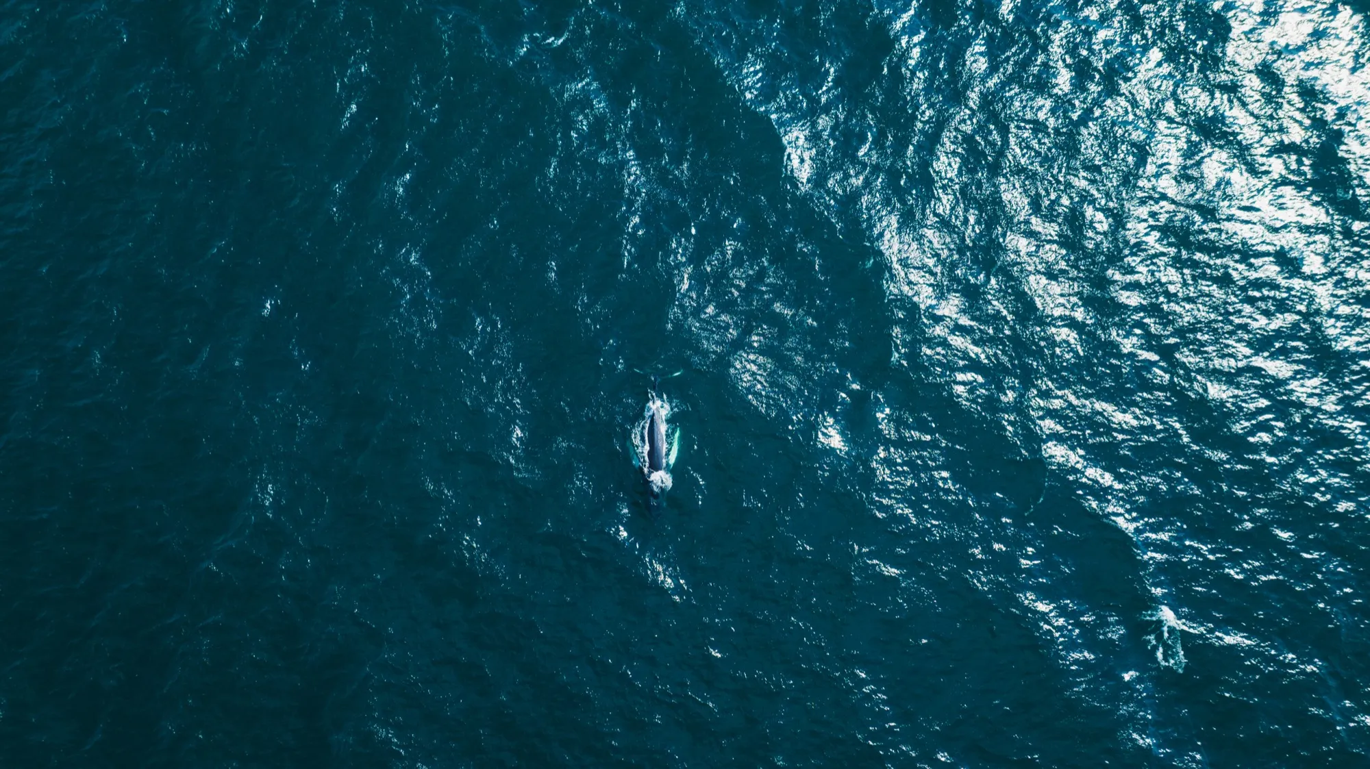 Aerial photograph — Iceland — Earthly