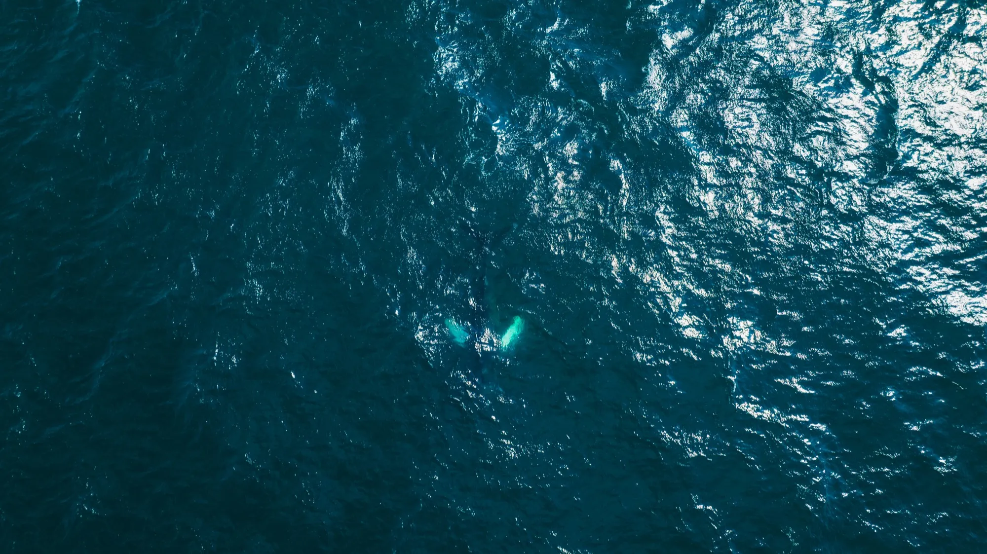 Aerial photograph — Iceland — Earthly