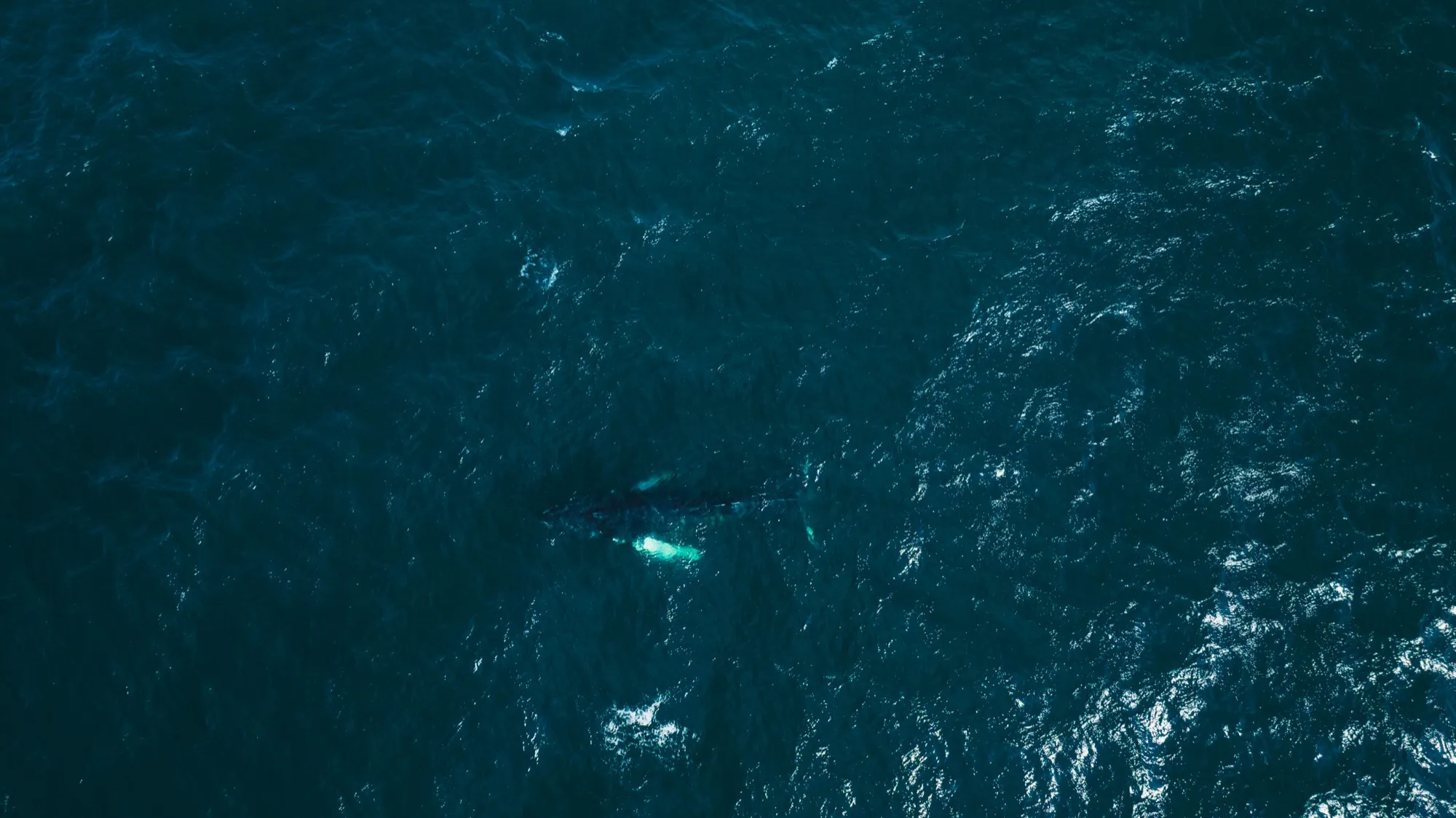 Aerial photograph — Iceland — Earthly