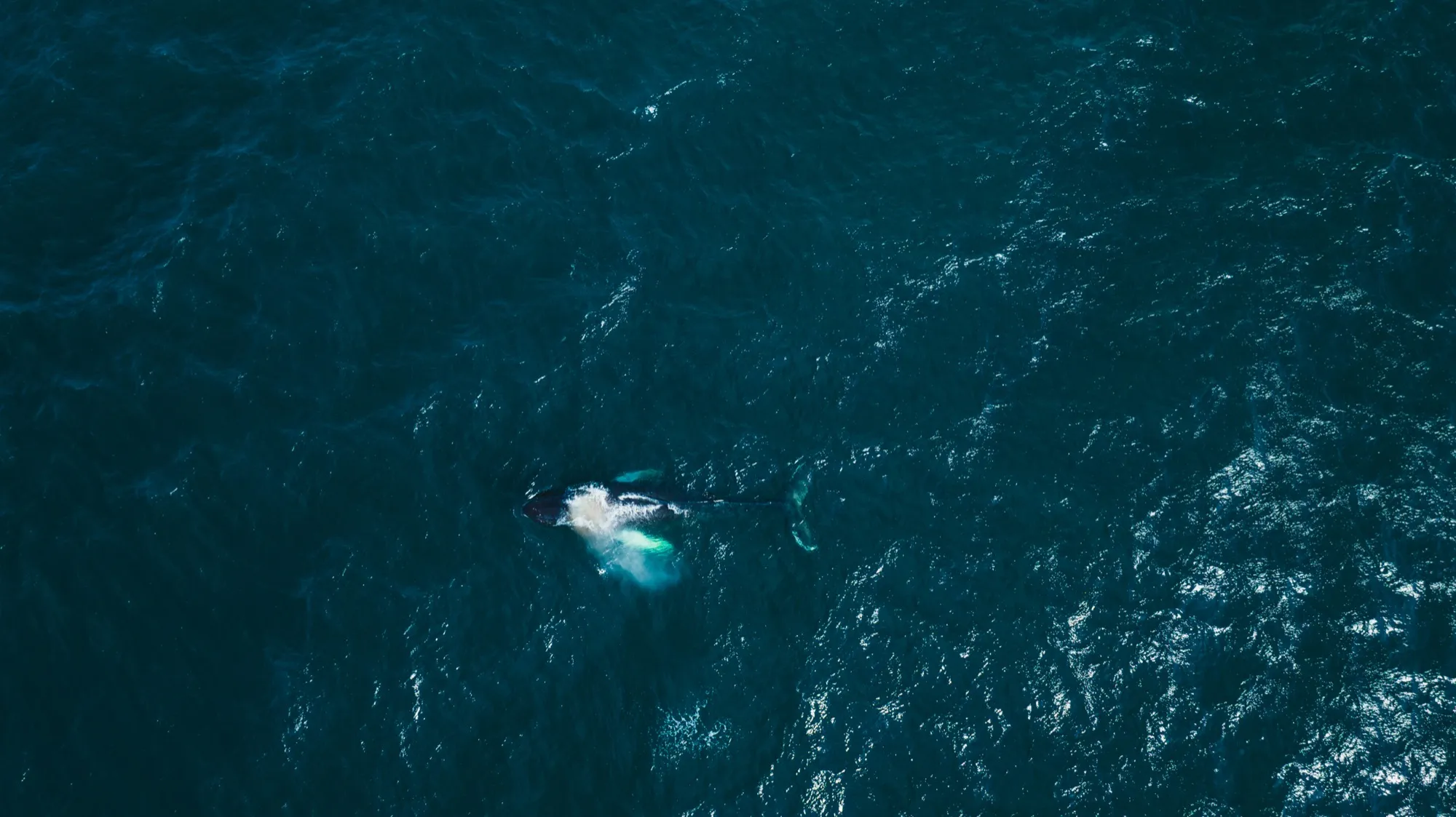 Aerial photograph — Iceland — Earthly