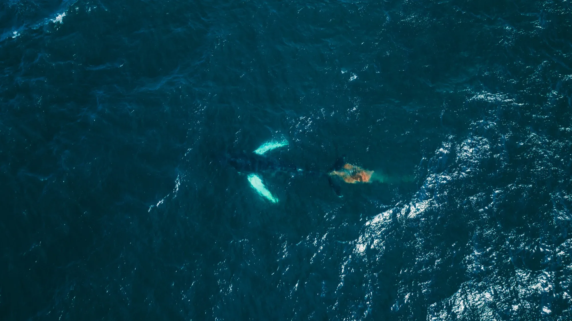 Aerial photograph — Iceland — Earthly
