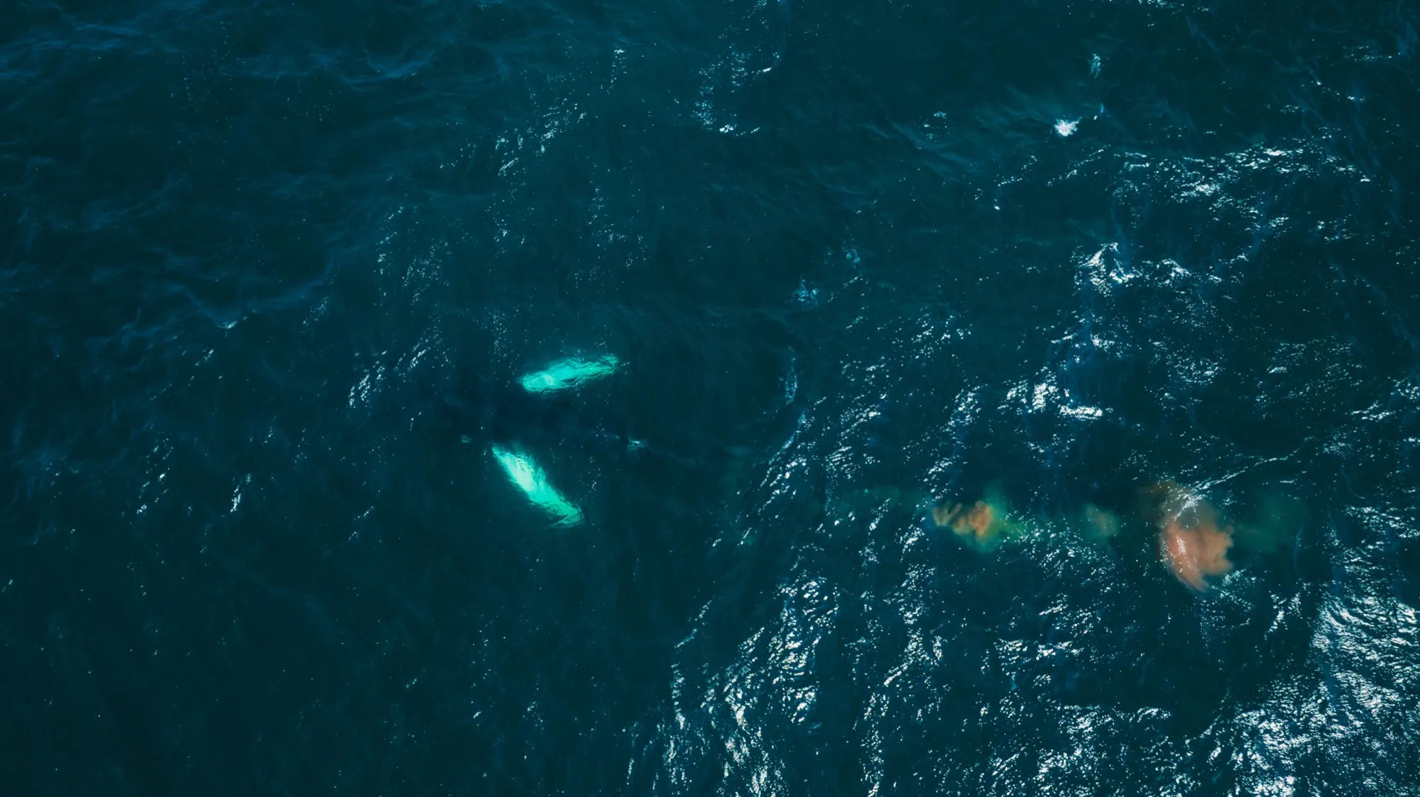 Aerial photograph — Iceland — Earthly
