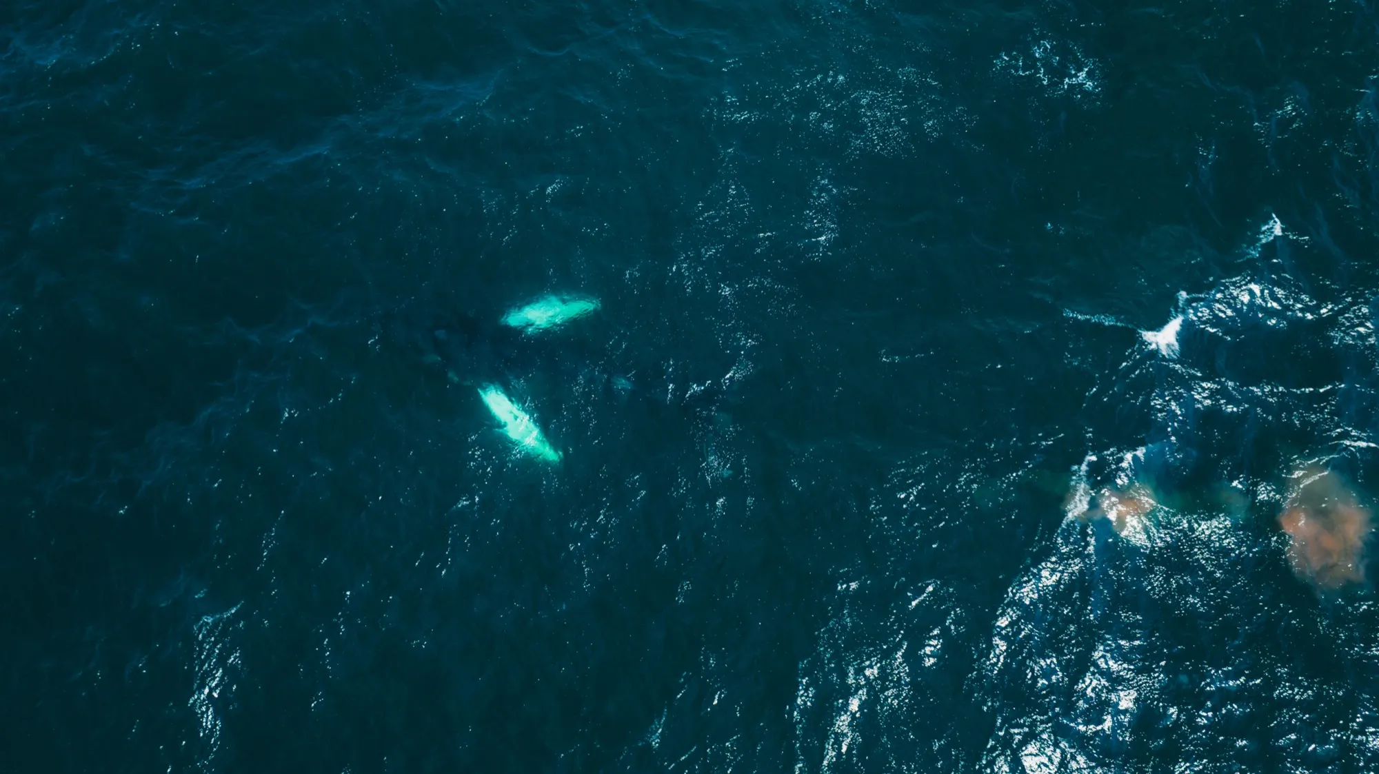 Aerial photograph — Iceland — Earthly