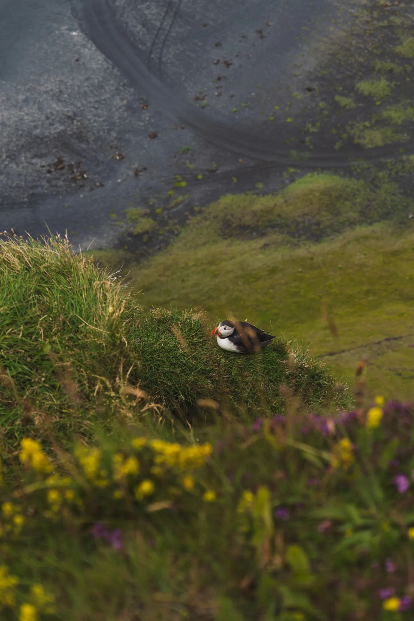 Aerial photograph — Iceland — Earthly