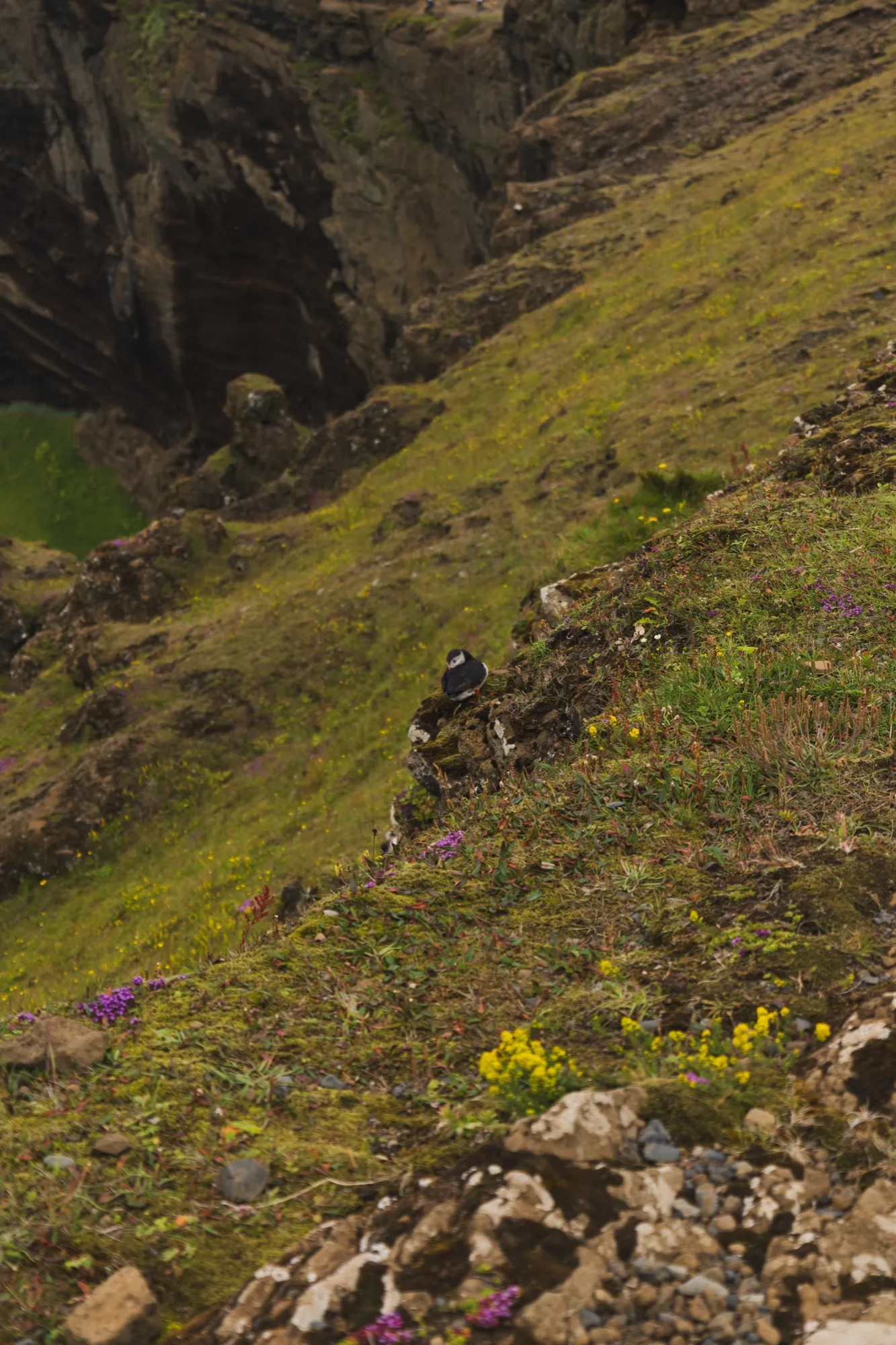 Aerial photograph — Iceland — Earthly