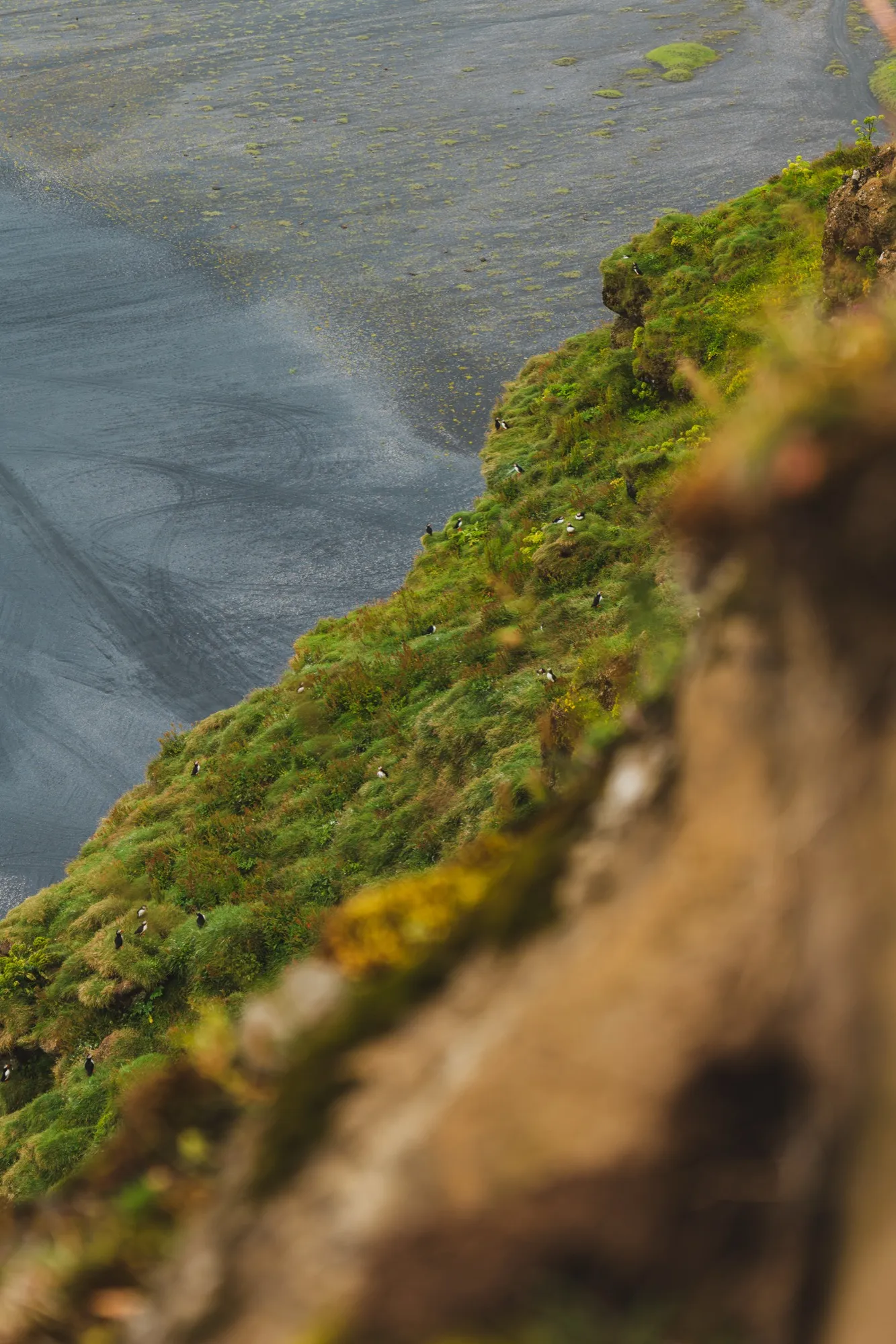 Aerial photograph — Iceland — Earthly