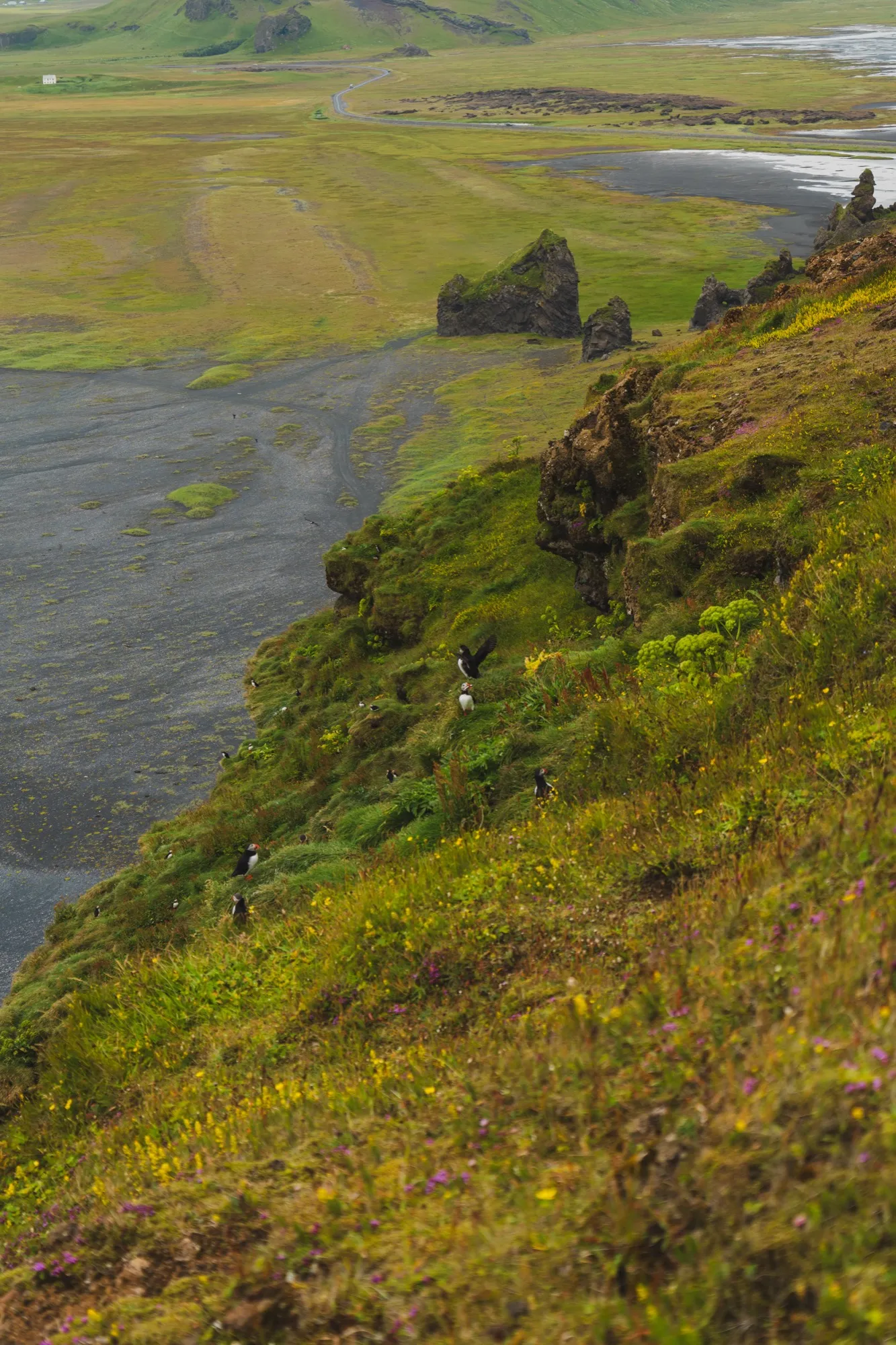 Aerial photograph — Iceland — Earthly
