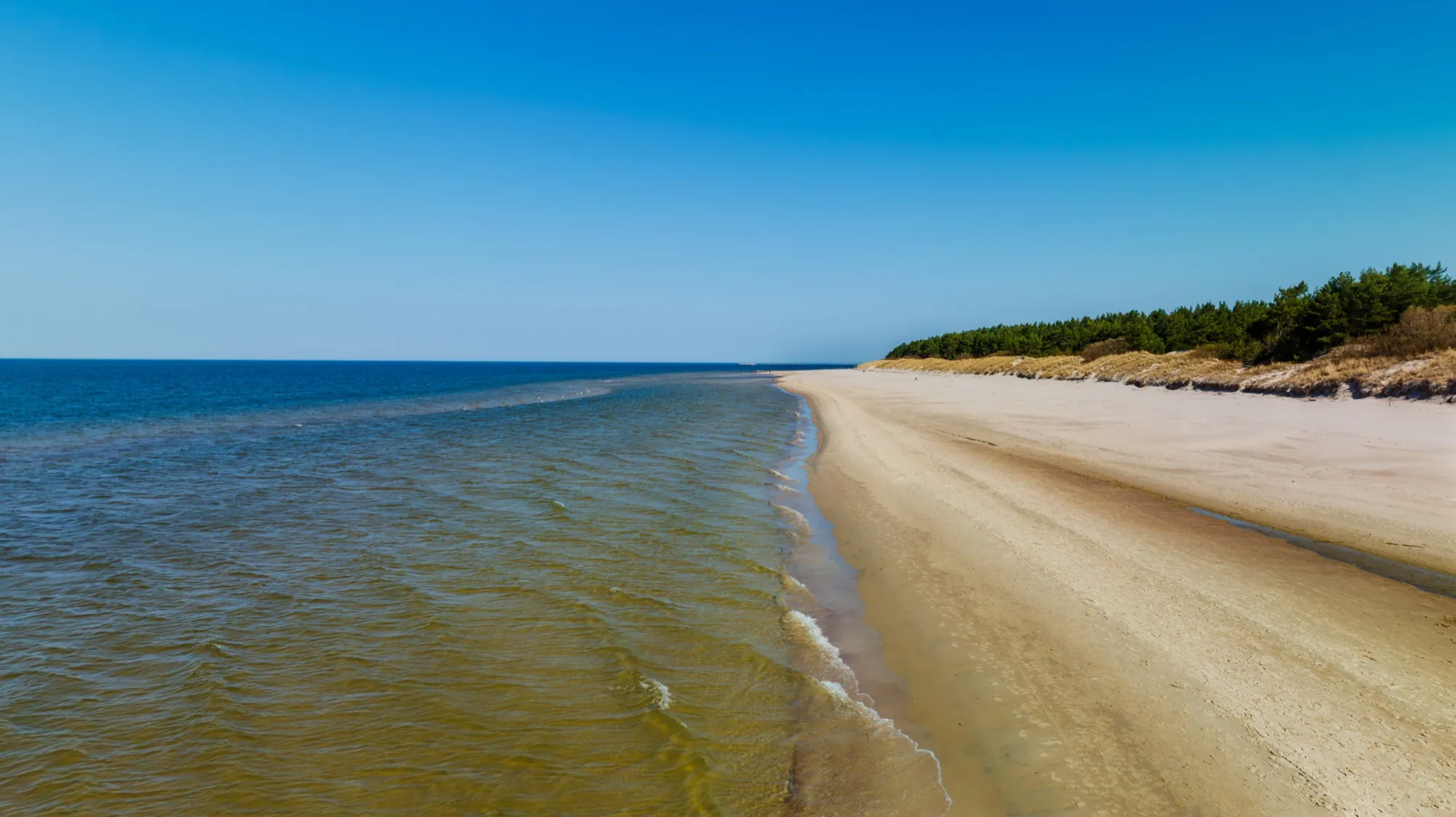 Aerial photograph — Lithuania — Earthly