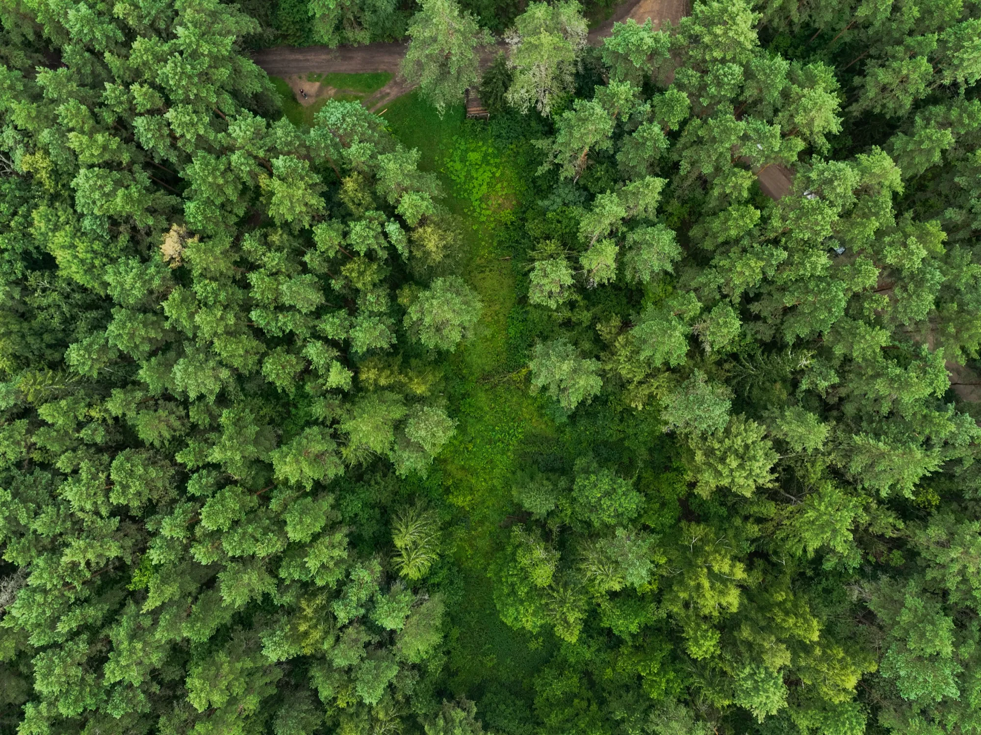 Aerial photograph — Lithuania — Earthly