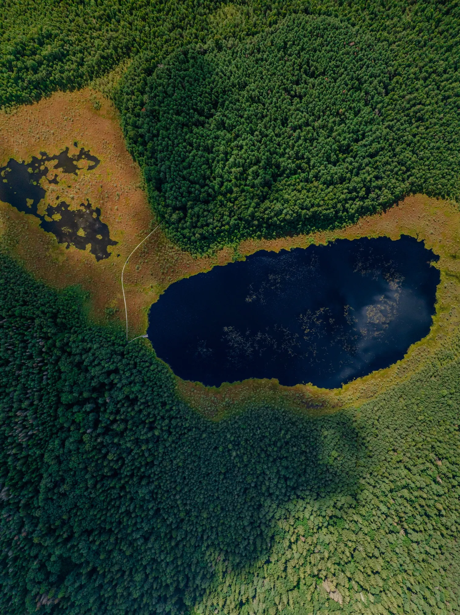 Aerial photograph — Lithuania — Earthly