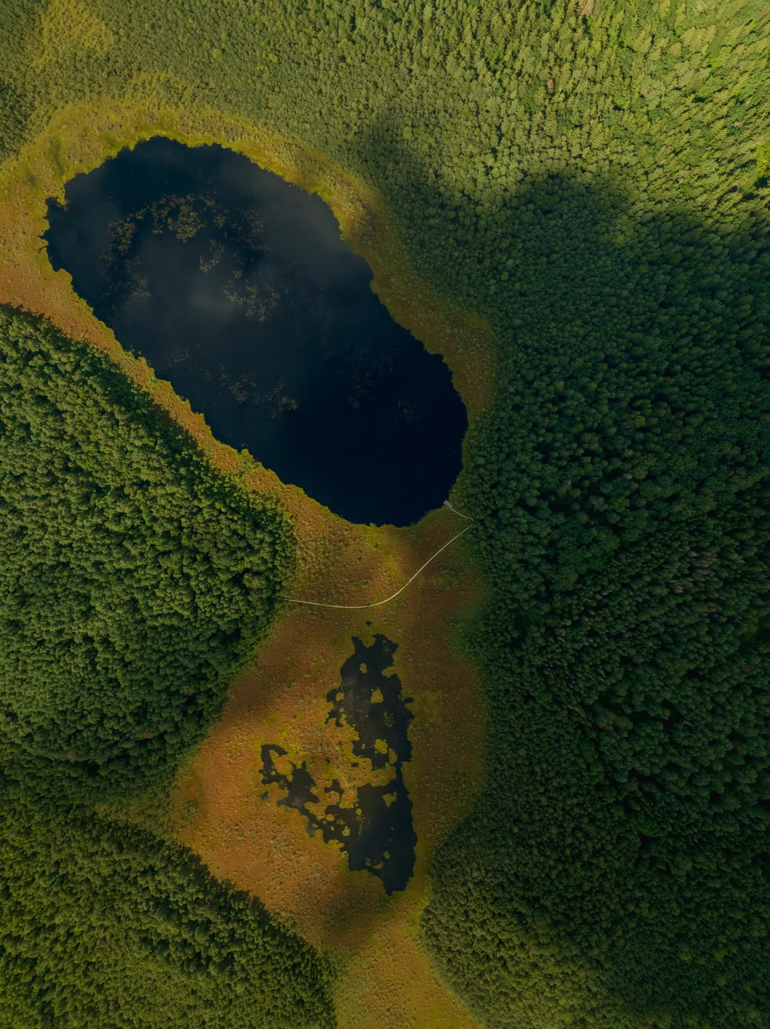 Aerial photograph — Lithuania — Earthly