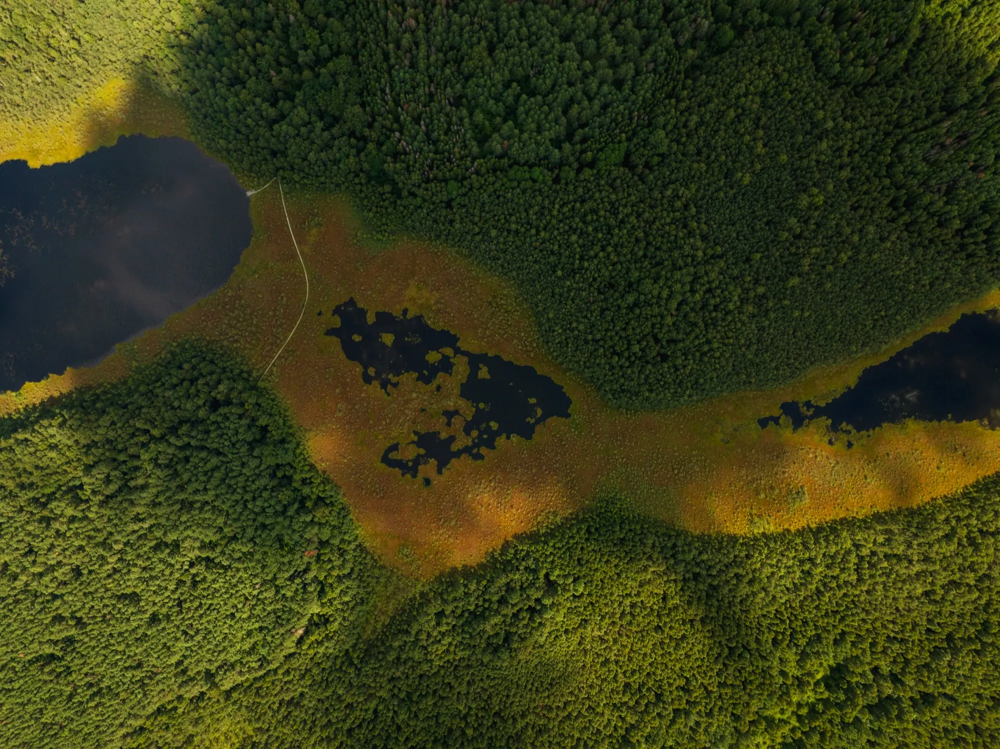 Aerial photograph — Lithuania — Earthly