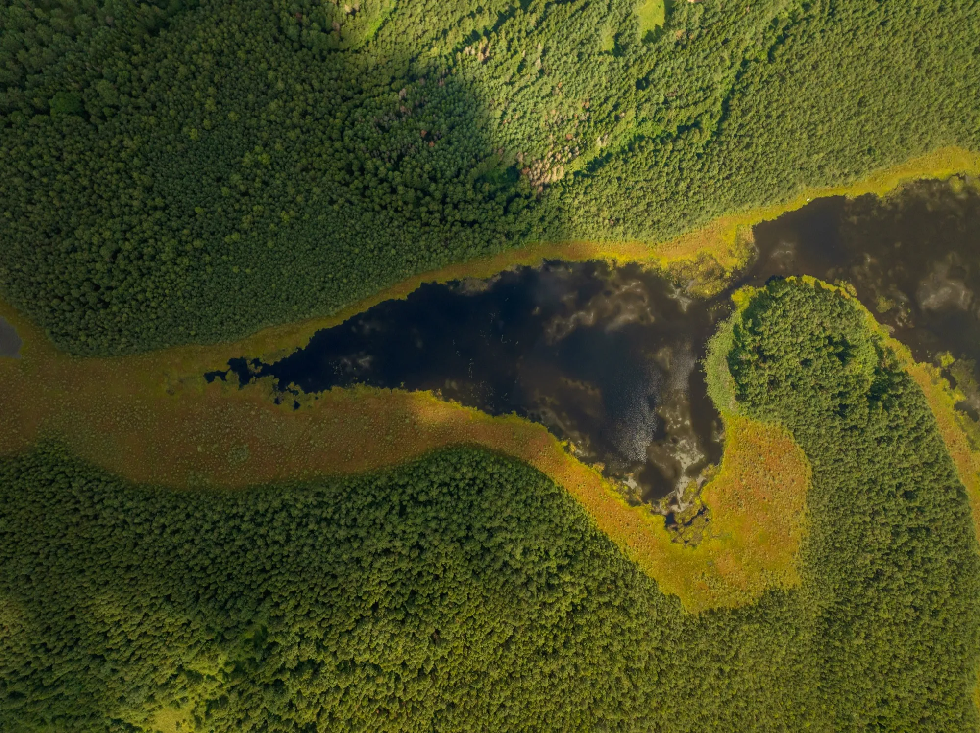 Aerial photograph — Lithuania — Earthly