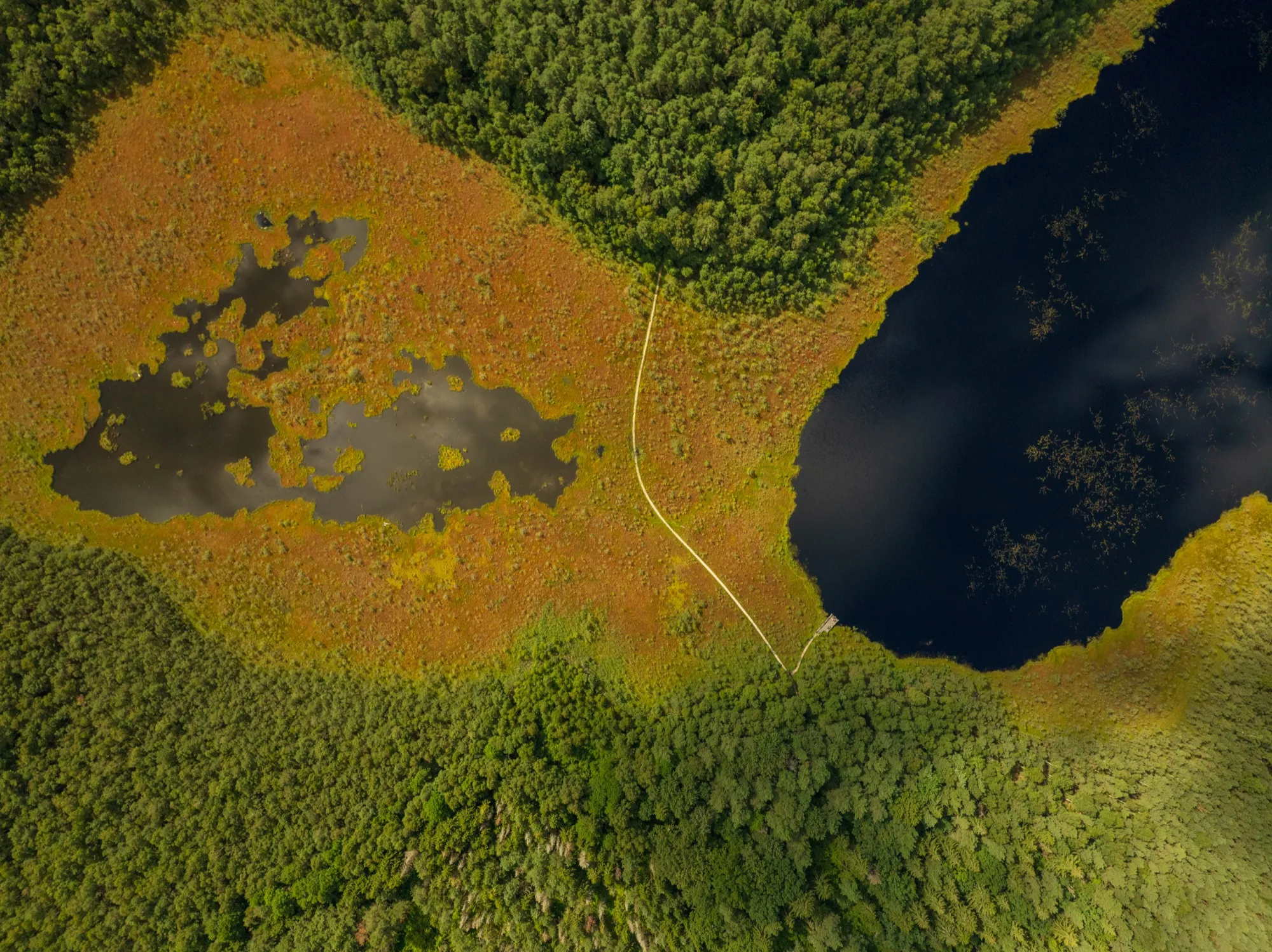 Aerial photograph — Lithuania — Earthly
