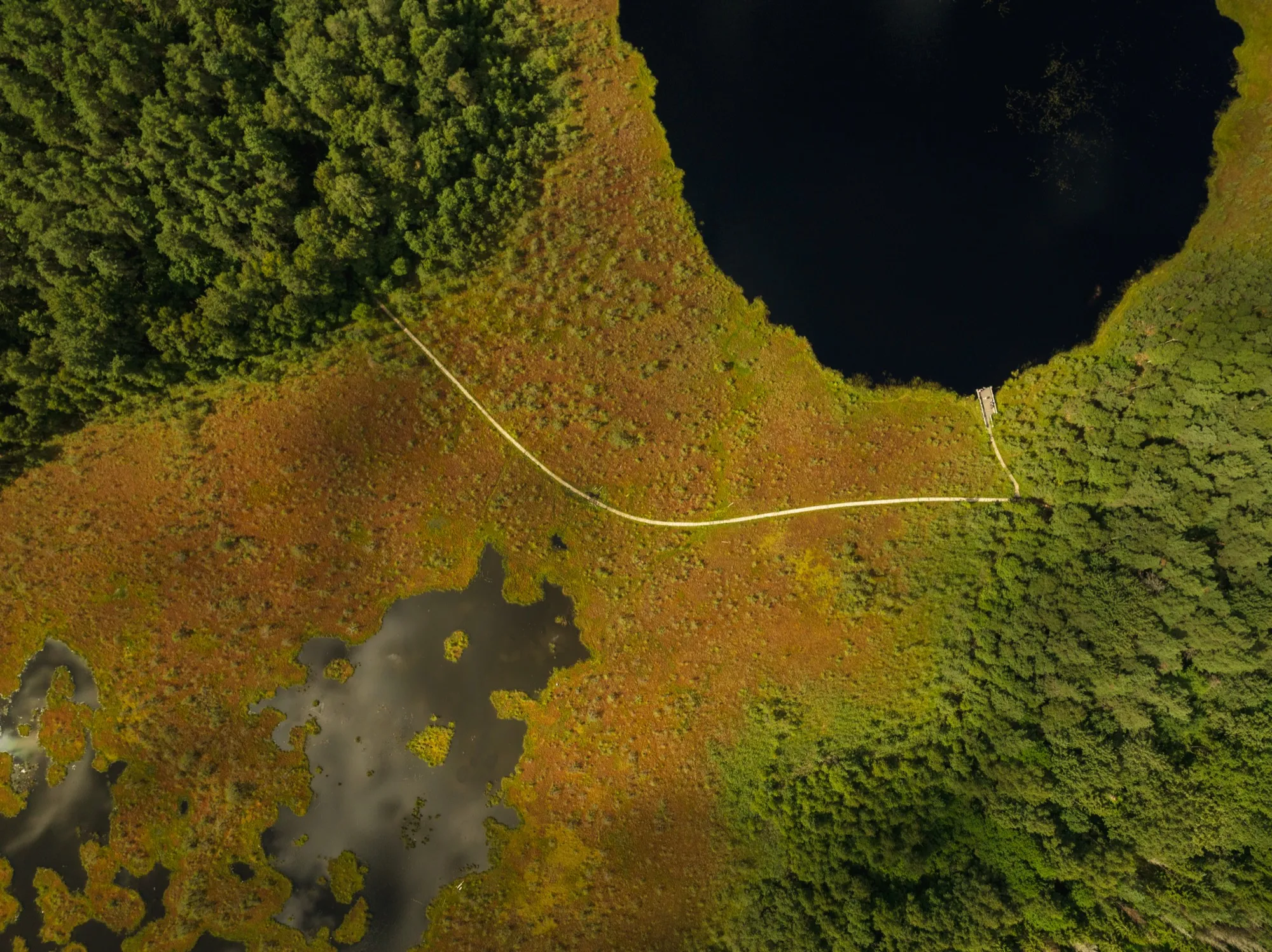 Aerial photograph — Lithuania — Earthly