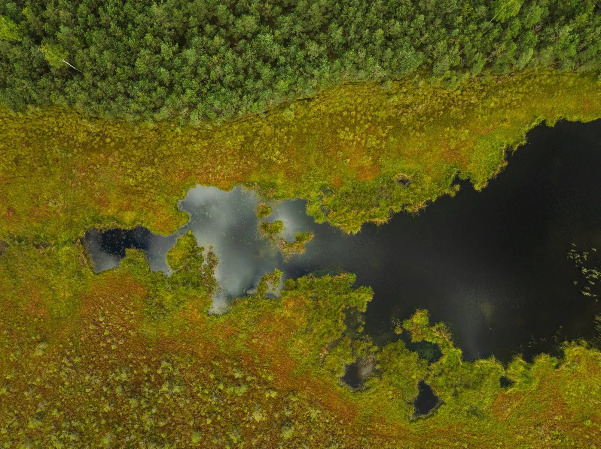 Aerial photograph — Lithuania — Earthly