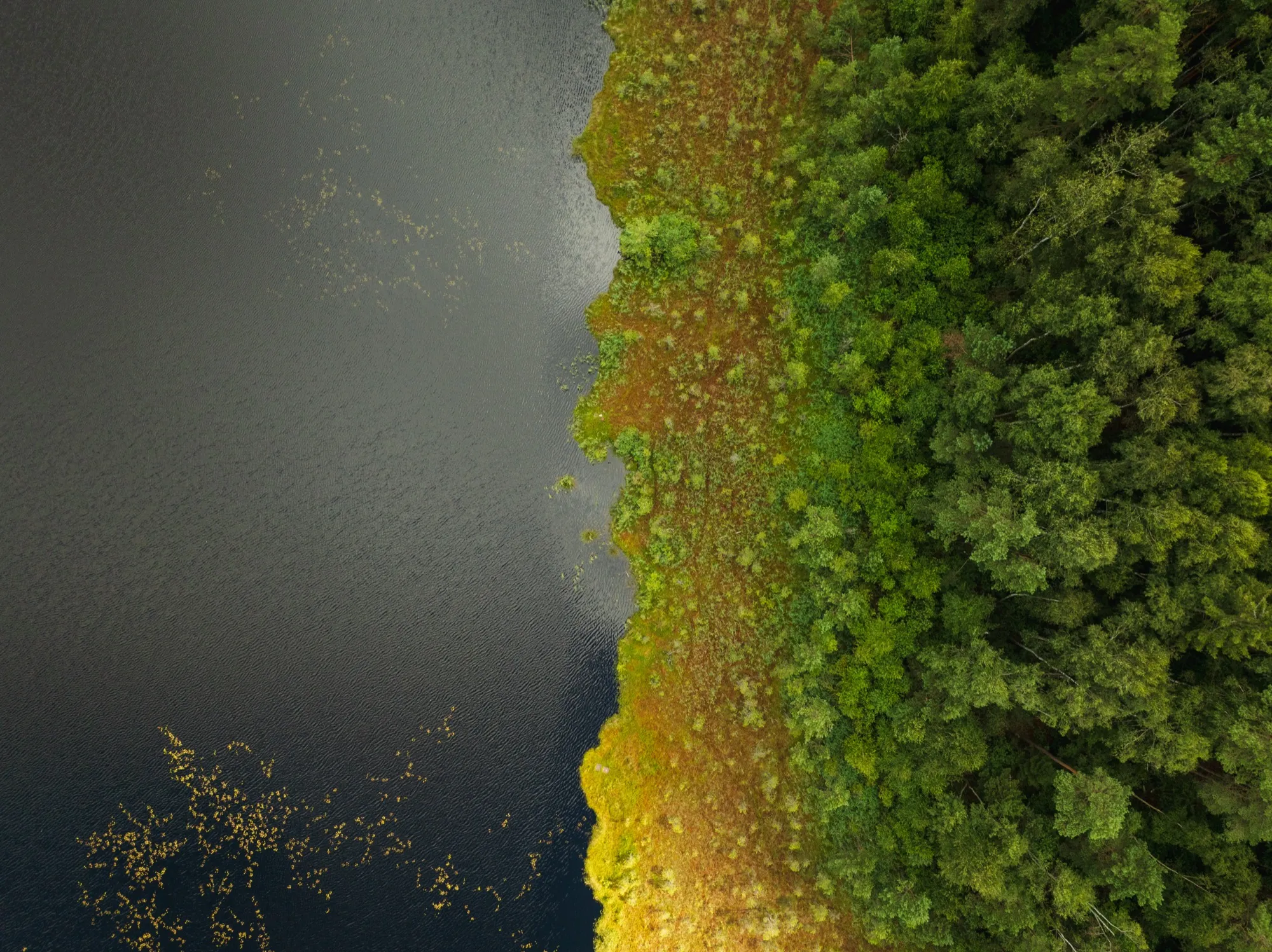 Aerial photograph — Lithuania — Earthly