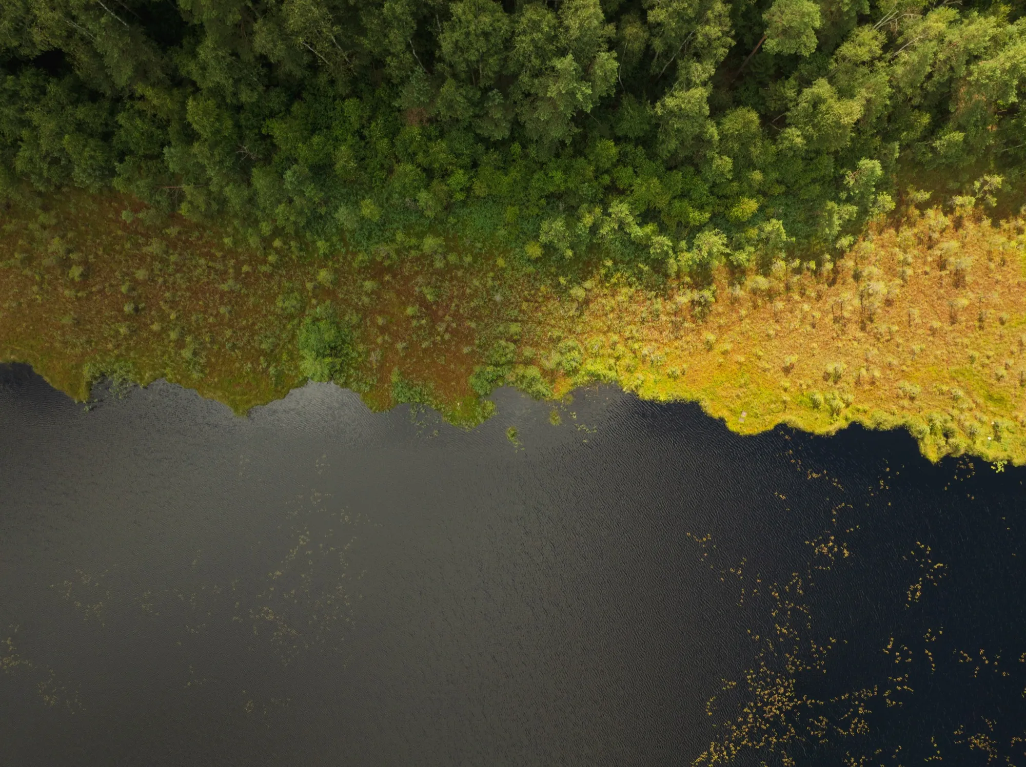 Aerial photograph — Lithuania — Earthly