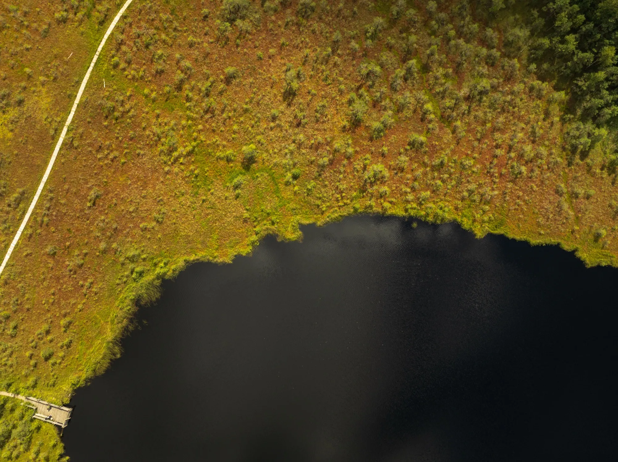 Aerial photograph — Lithuania — Earthly