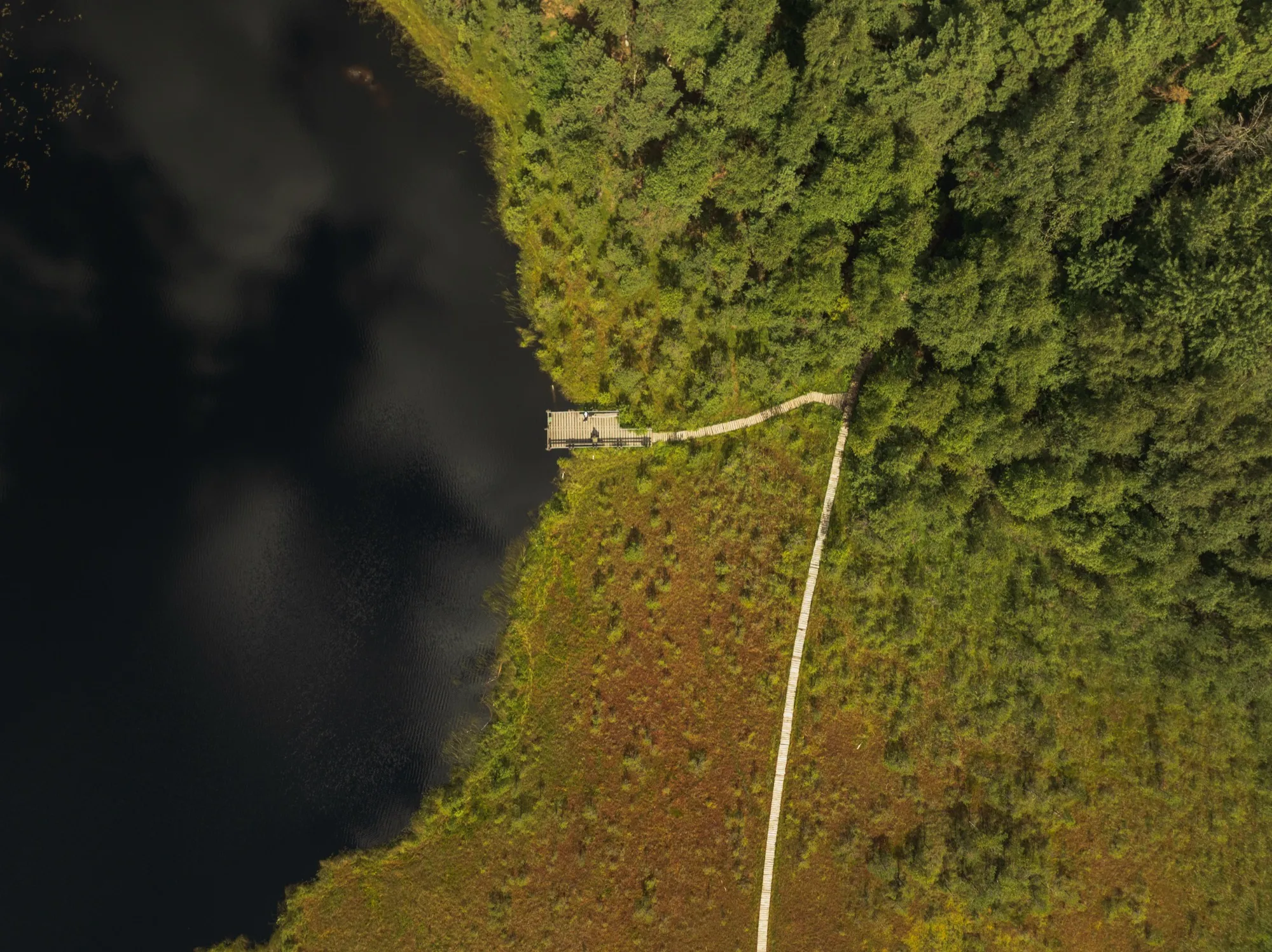 Aerial photograph — Lithuania — Earthly