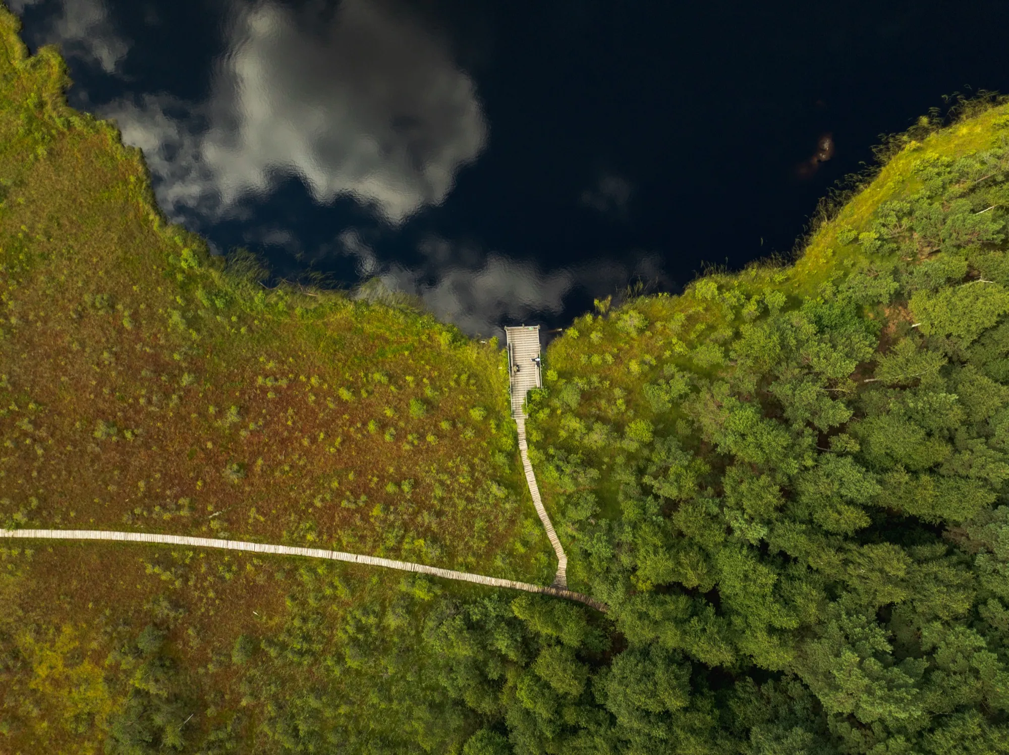 Aerial photograph — Lithuania — Earthly