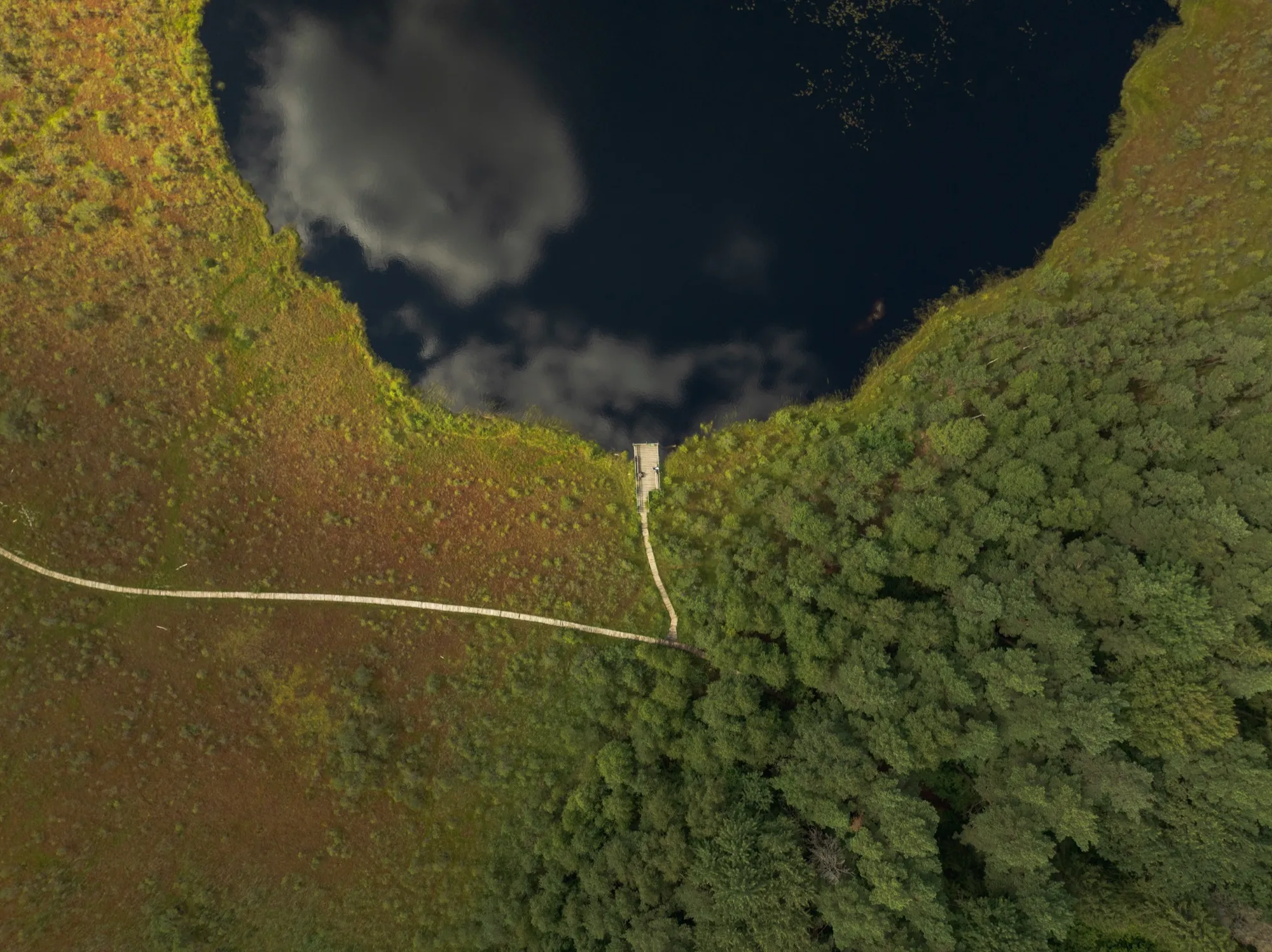 Aerial photograph — Lithuania — Earthly