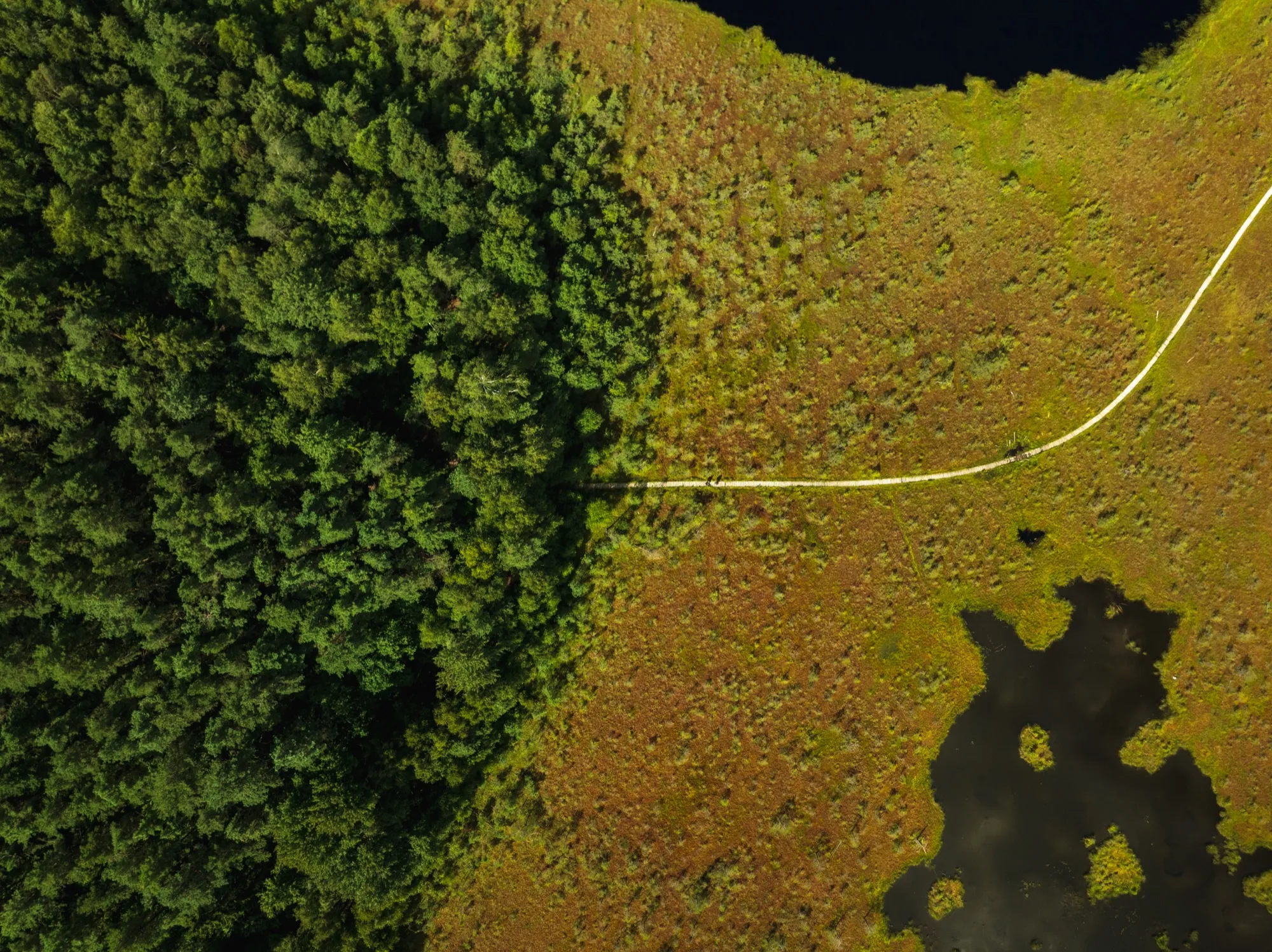 Aerial photograph — Lithuania — Earthly